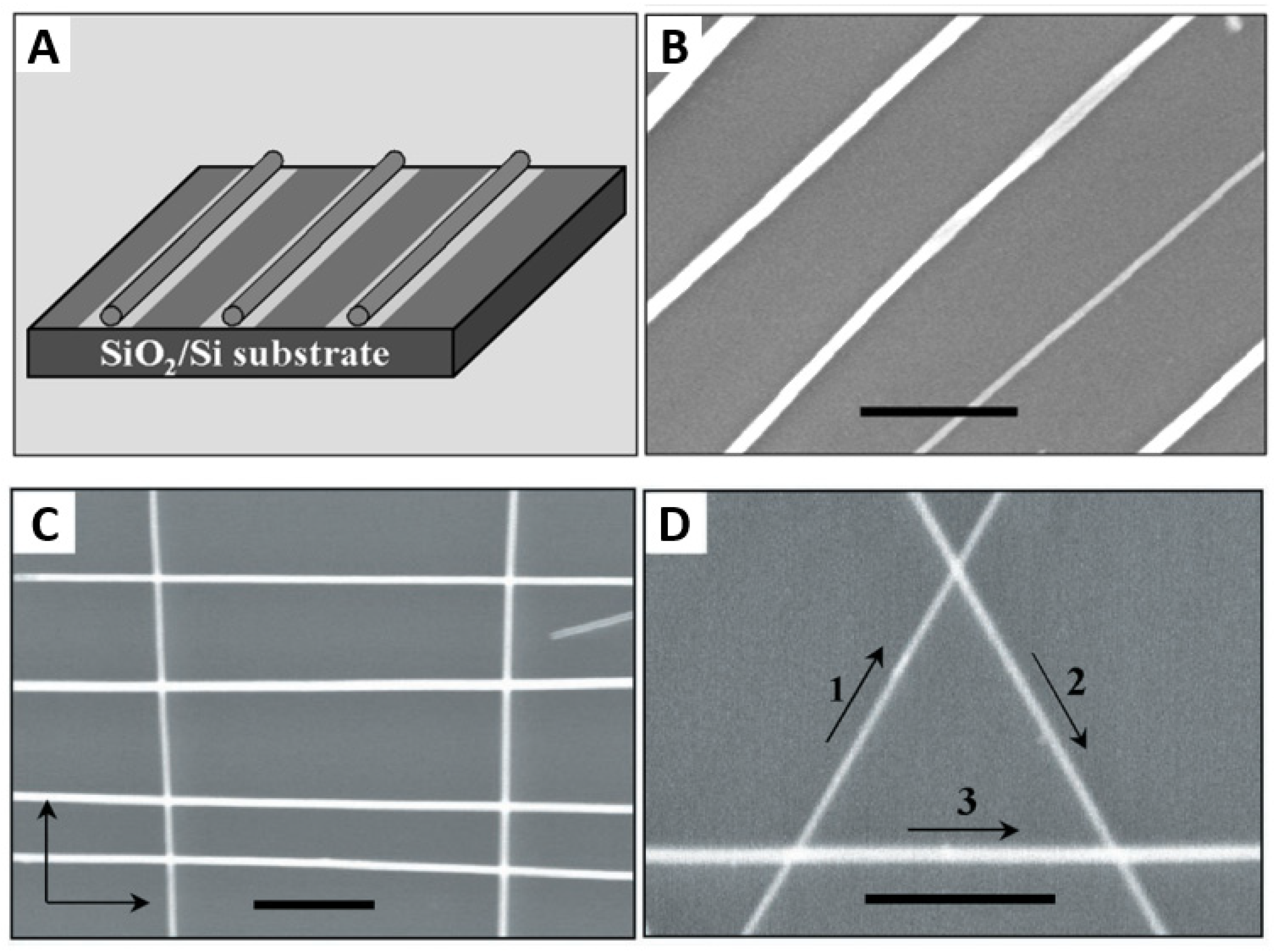 Nanomaterials 12 01043 g009 Nanomaterials 12 01043 g009