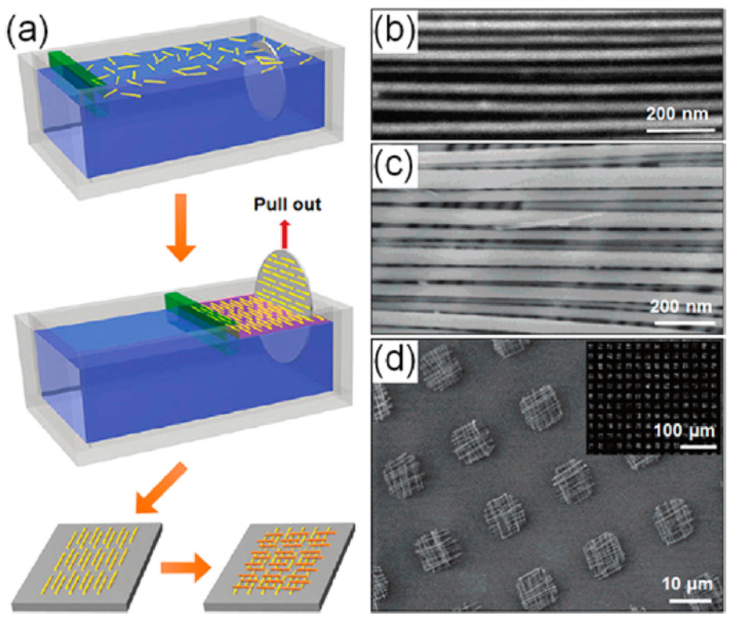Nanomaterials 12 01043 g010 Nanomaterials 12 01043 g010