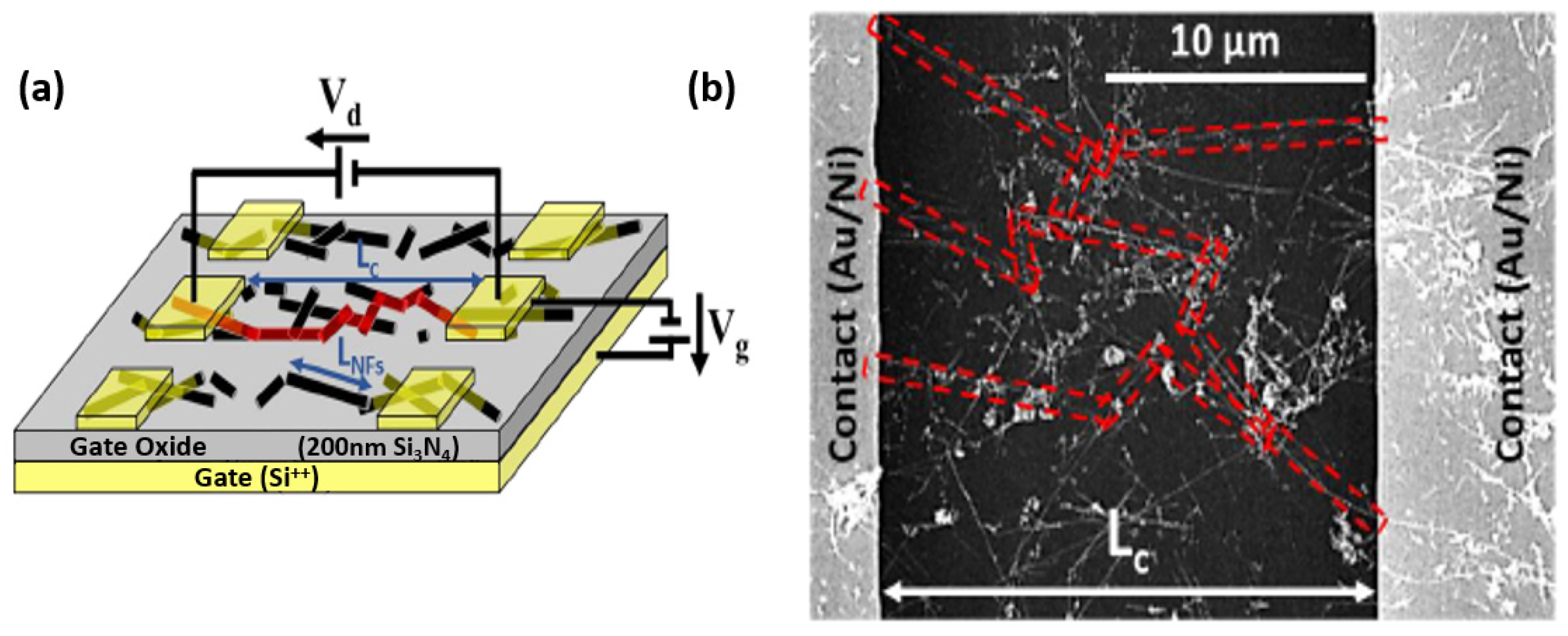 Nanomaterials 12 01043 g022 Nanomaterials 12 01043 g022