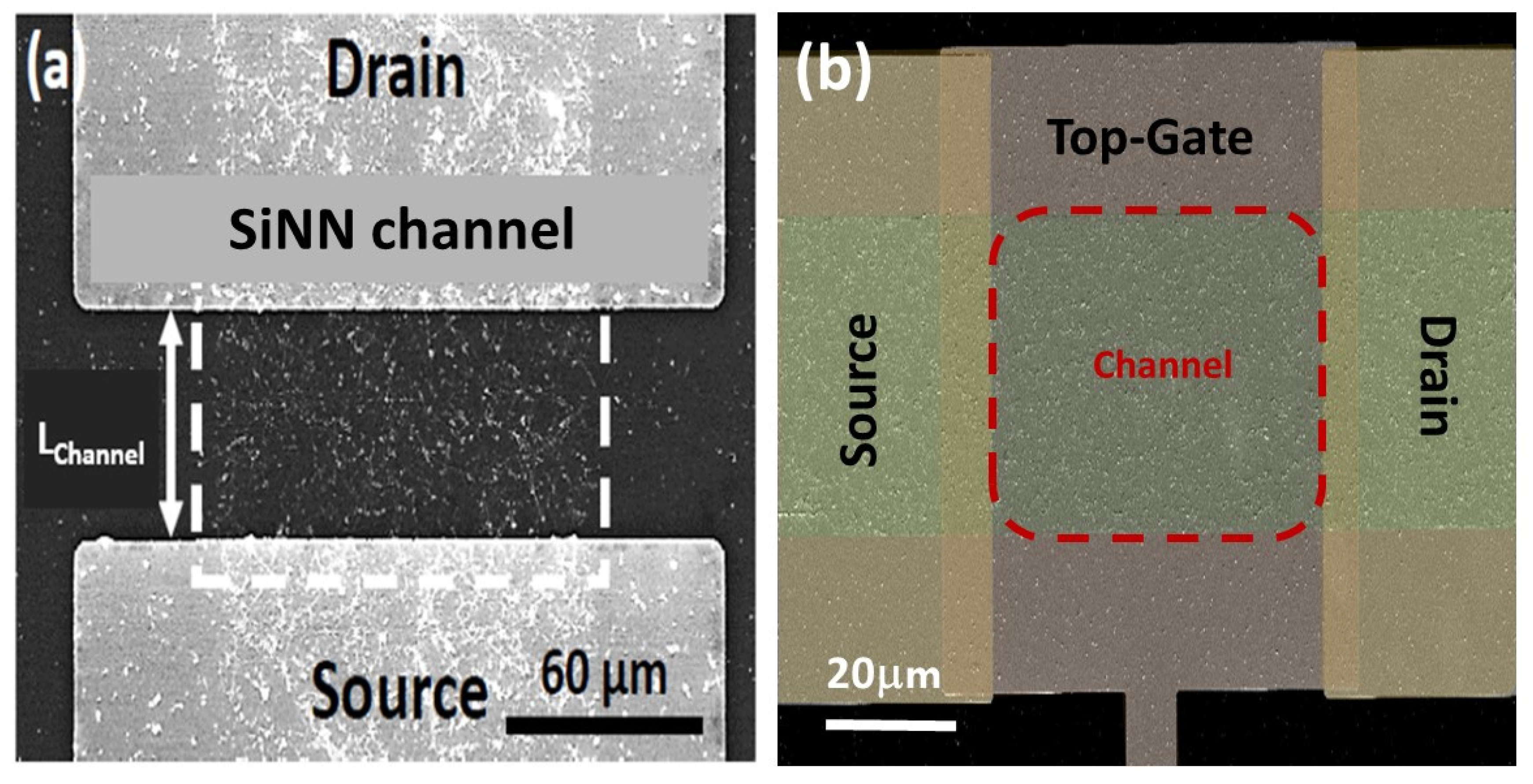 Nanomaterials 12 01043 g024 Nanomaterials 12 01043 g024