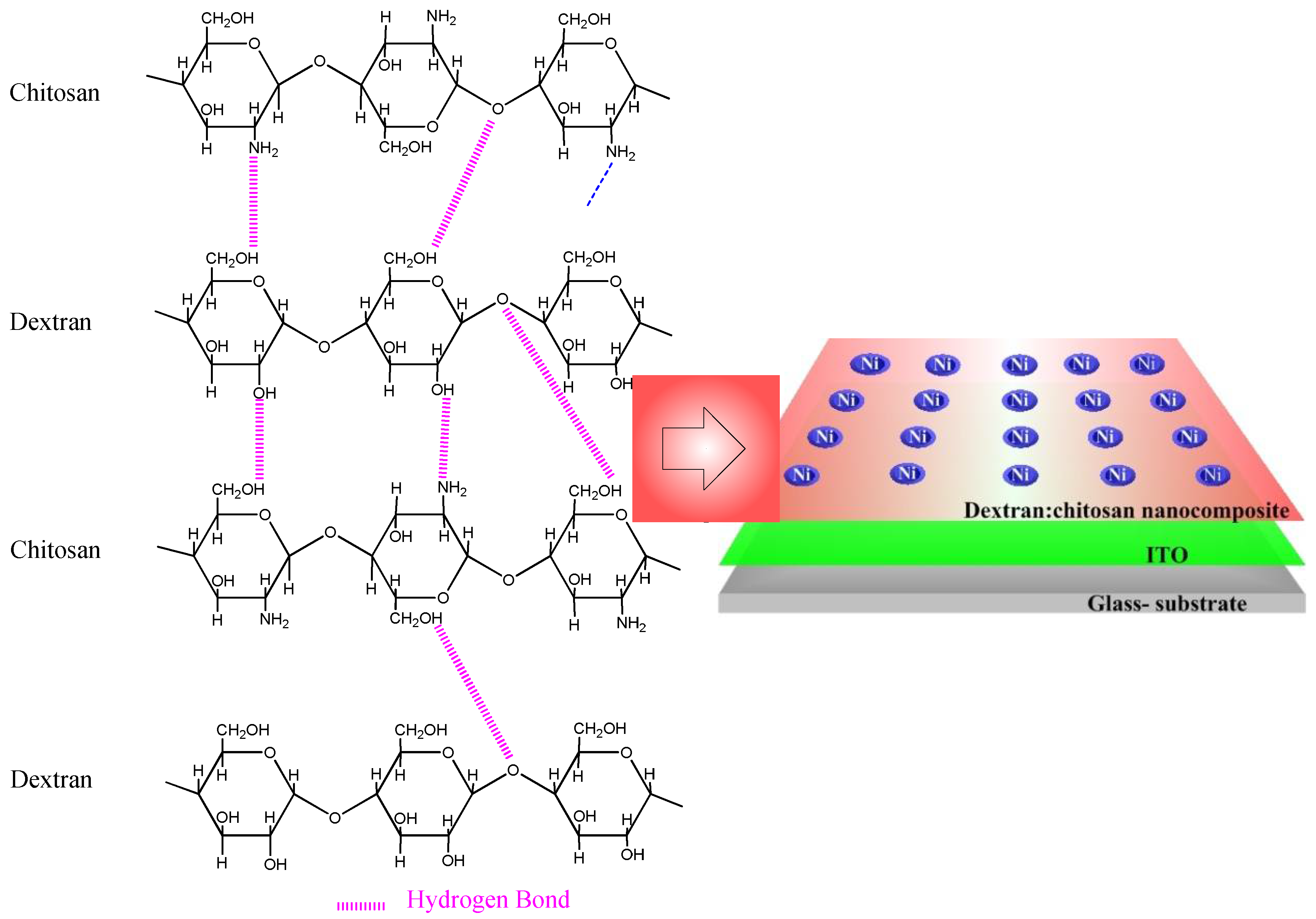 Nanomaterials 12 01072 g006