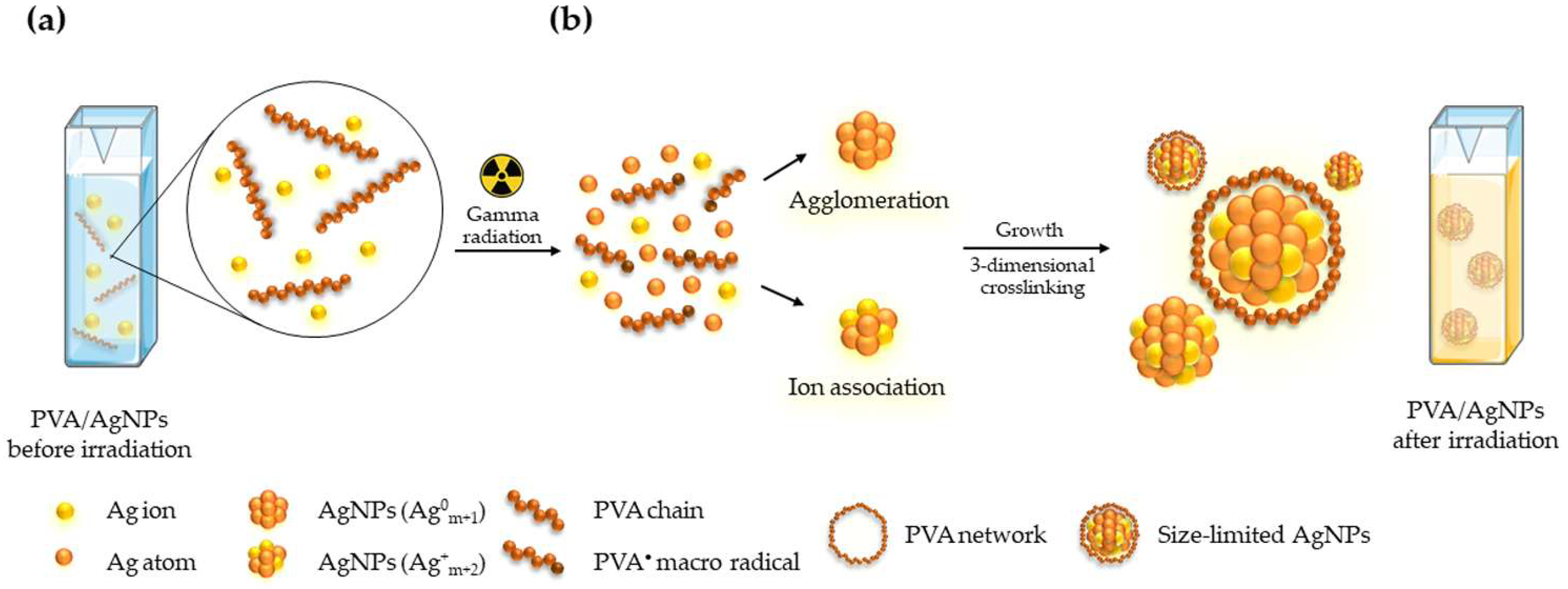 Nanomaterials 12 01088 g001