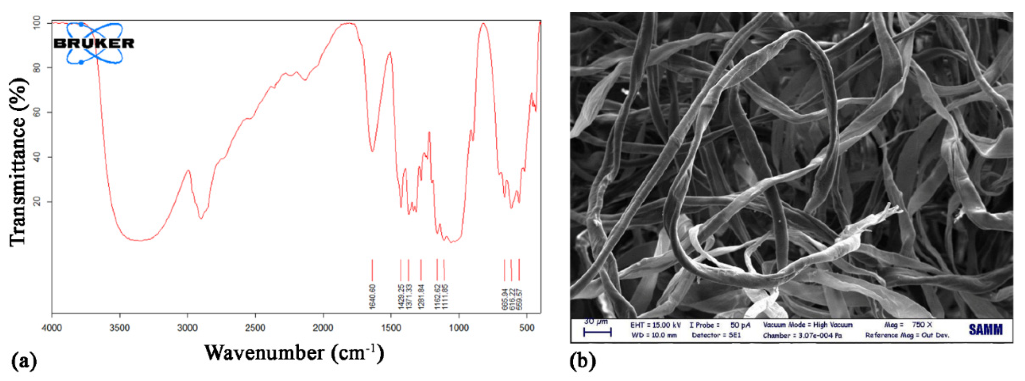 Nanomaterials 12 01093 g001 Nanomaterials 12 01093 g001
