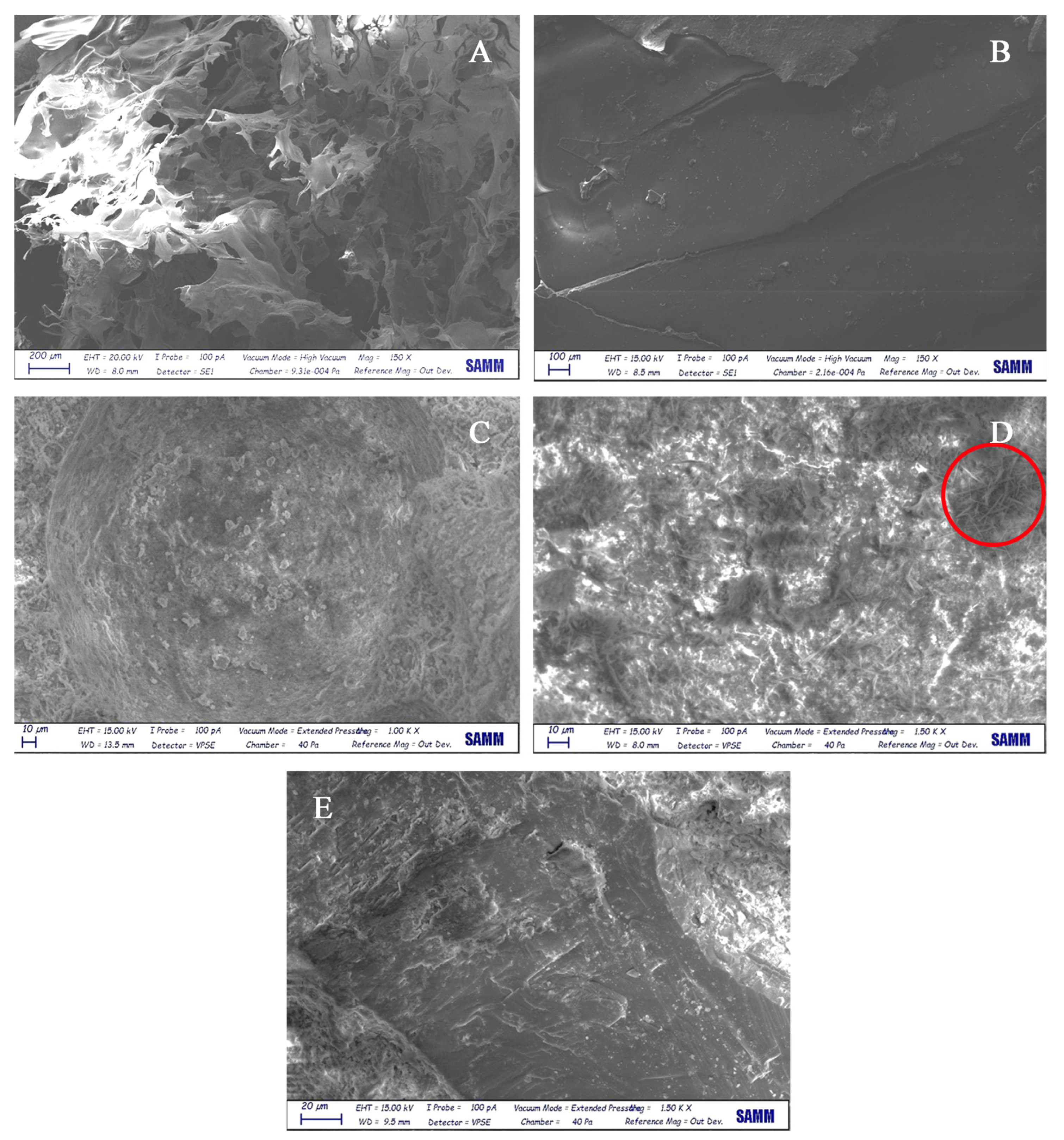 Nanomaterials 12 01093 g008 Nanomaterials 12 01093 g008