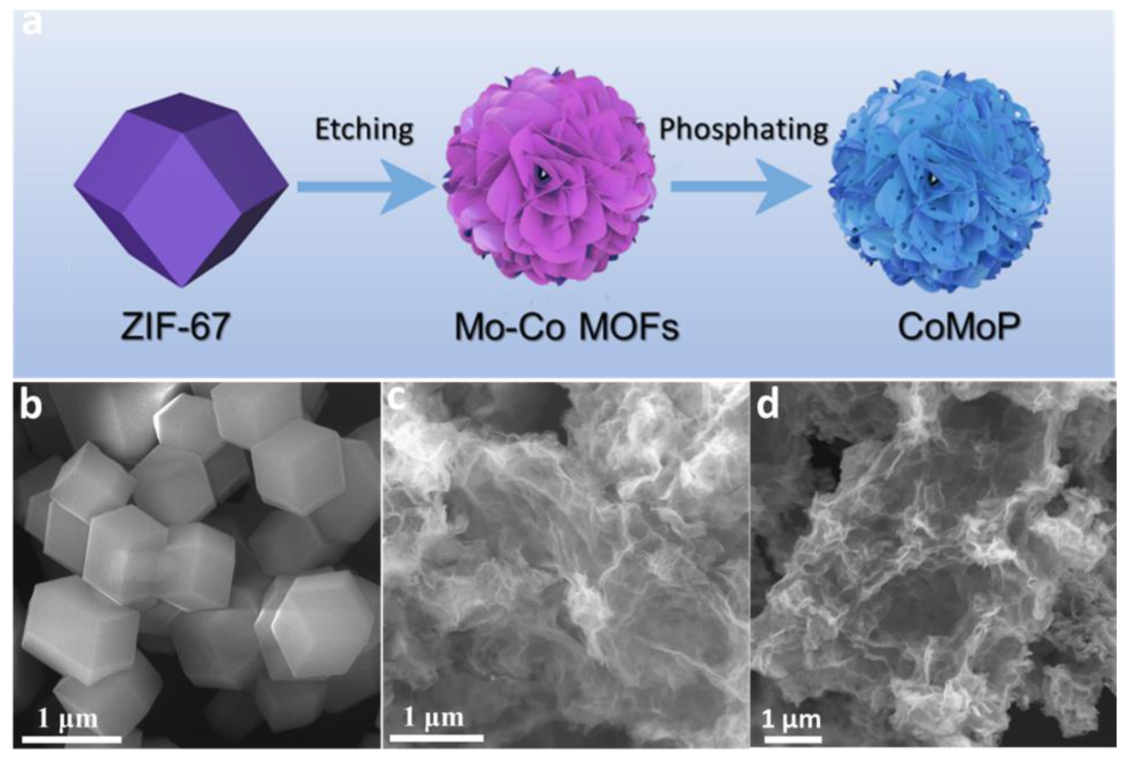 Nanomaterials 12 01098 g001