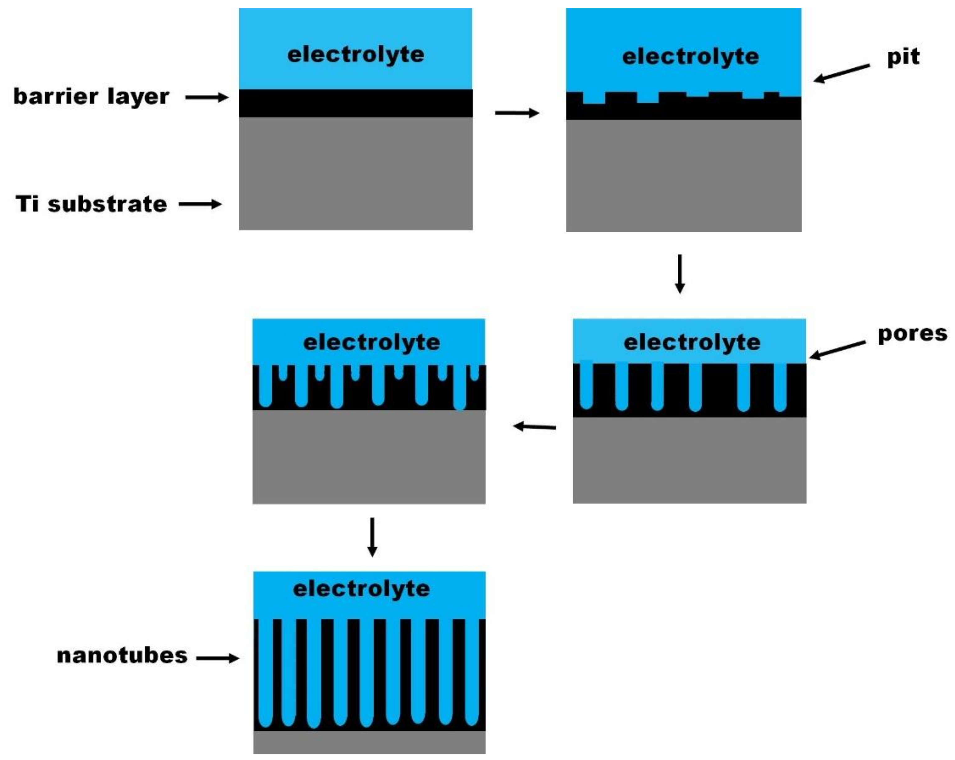 Nanomaterials 12 01131 g006