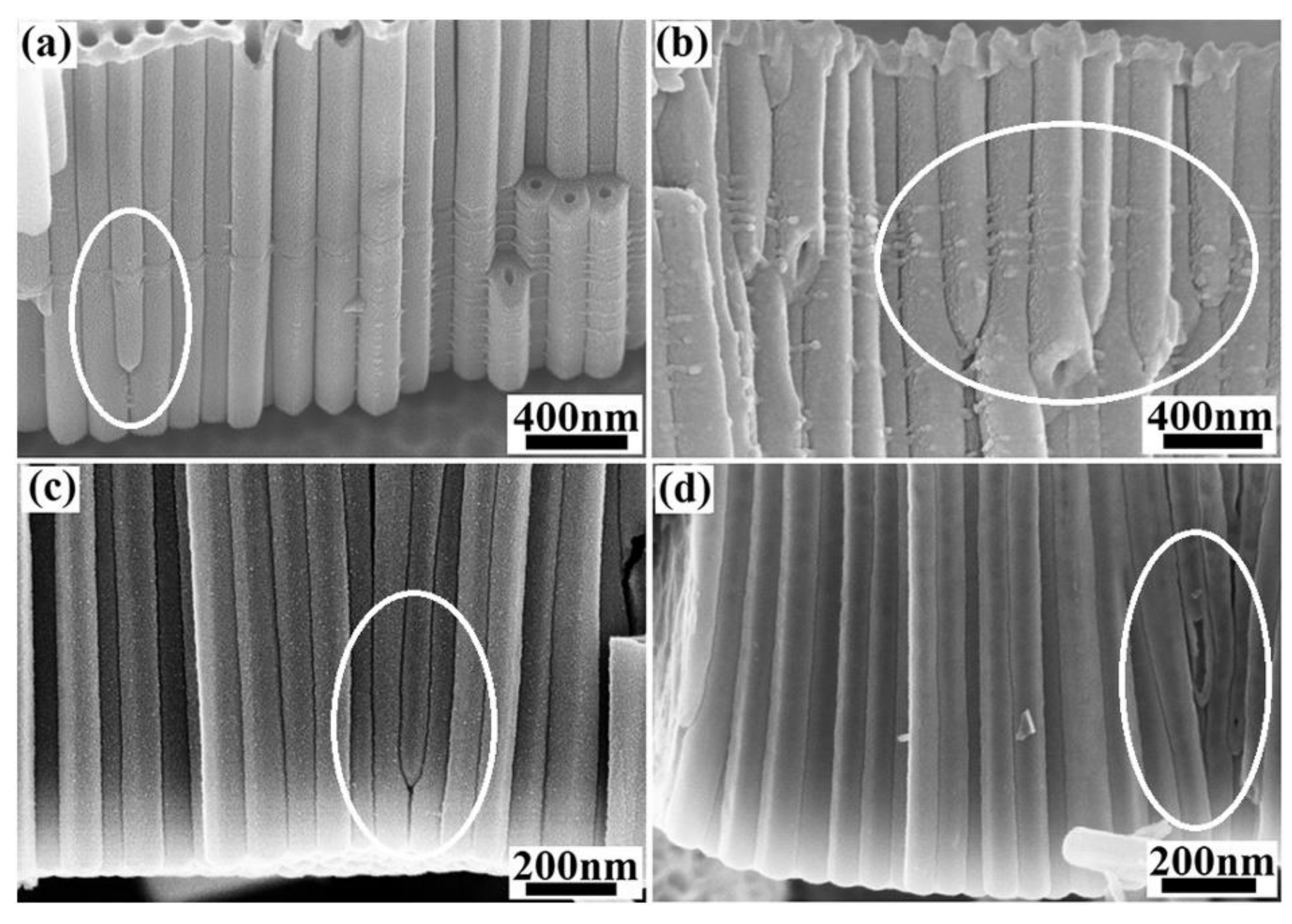 Nanomaterials 12 01131 g007