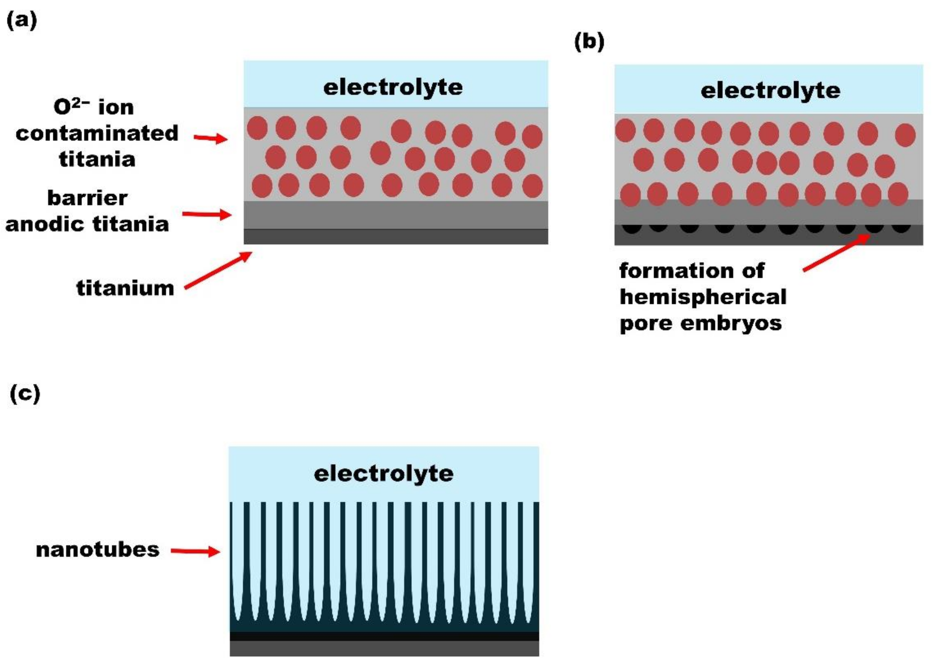 Nanomaterials 12 01131 g008