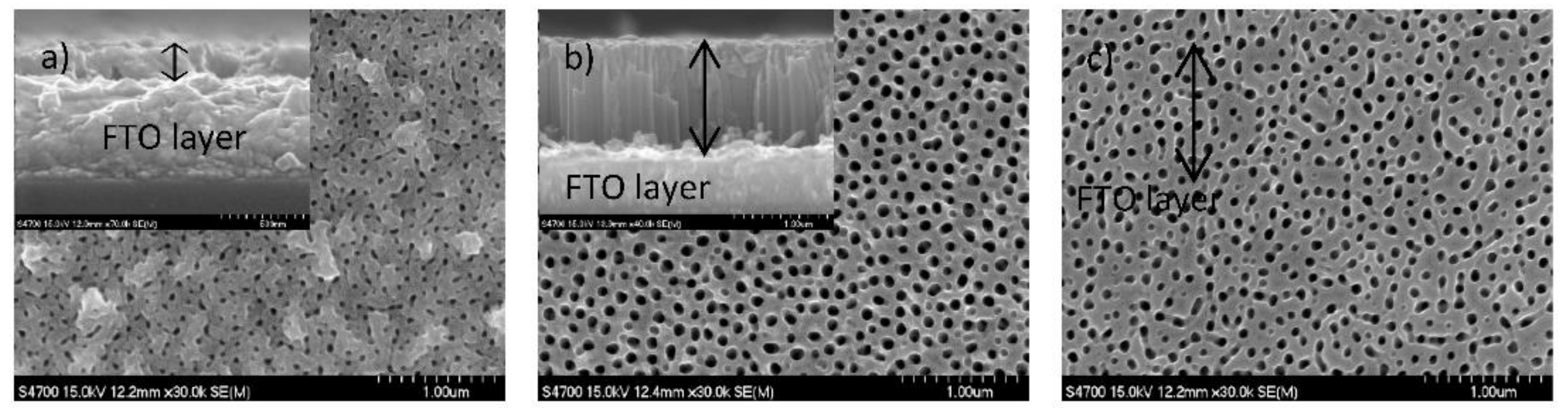 Nanomaterials 12 01131 g009