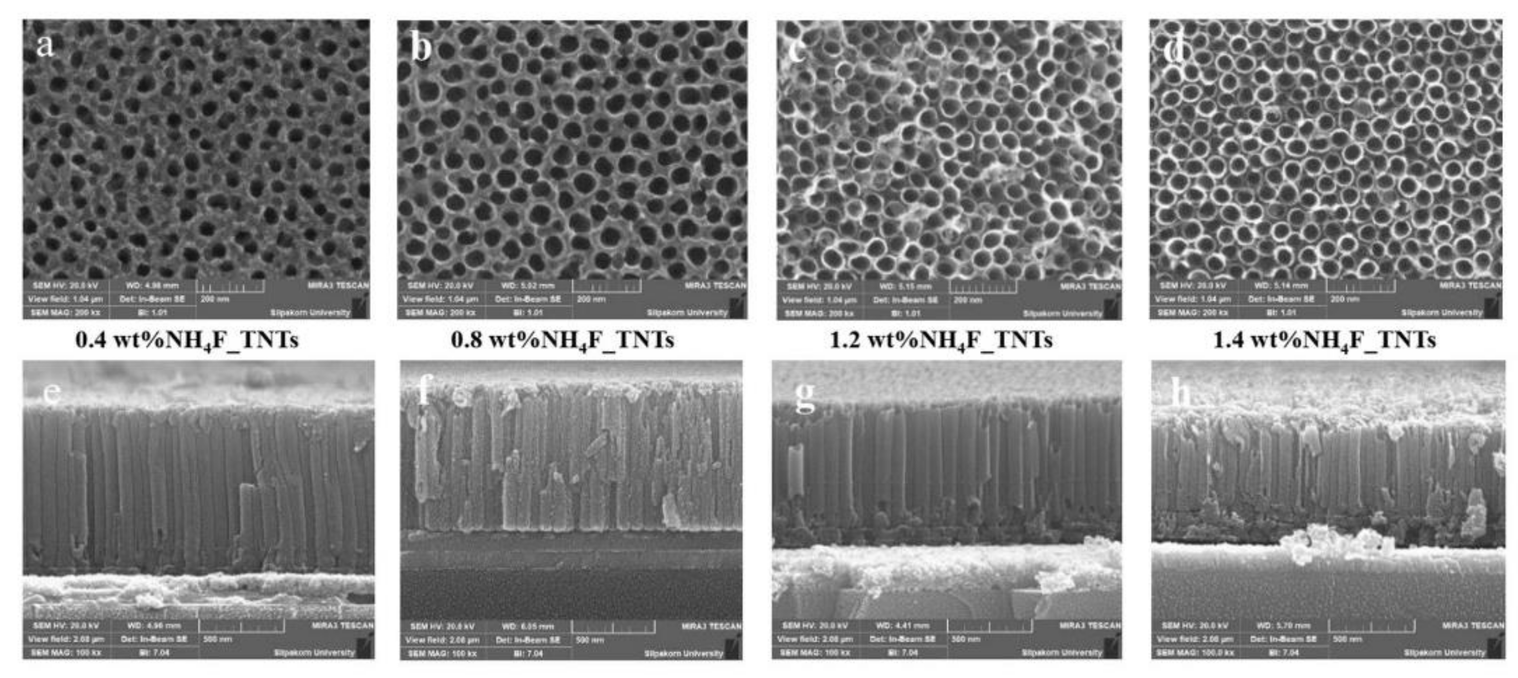 Nanomaterials 12 01131 g013
