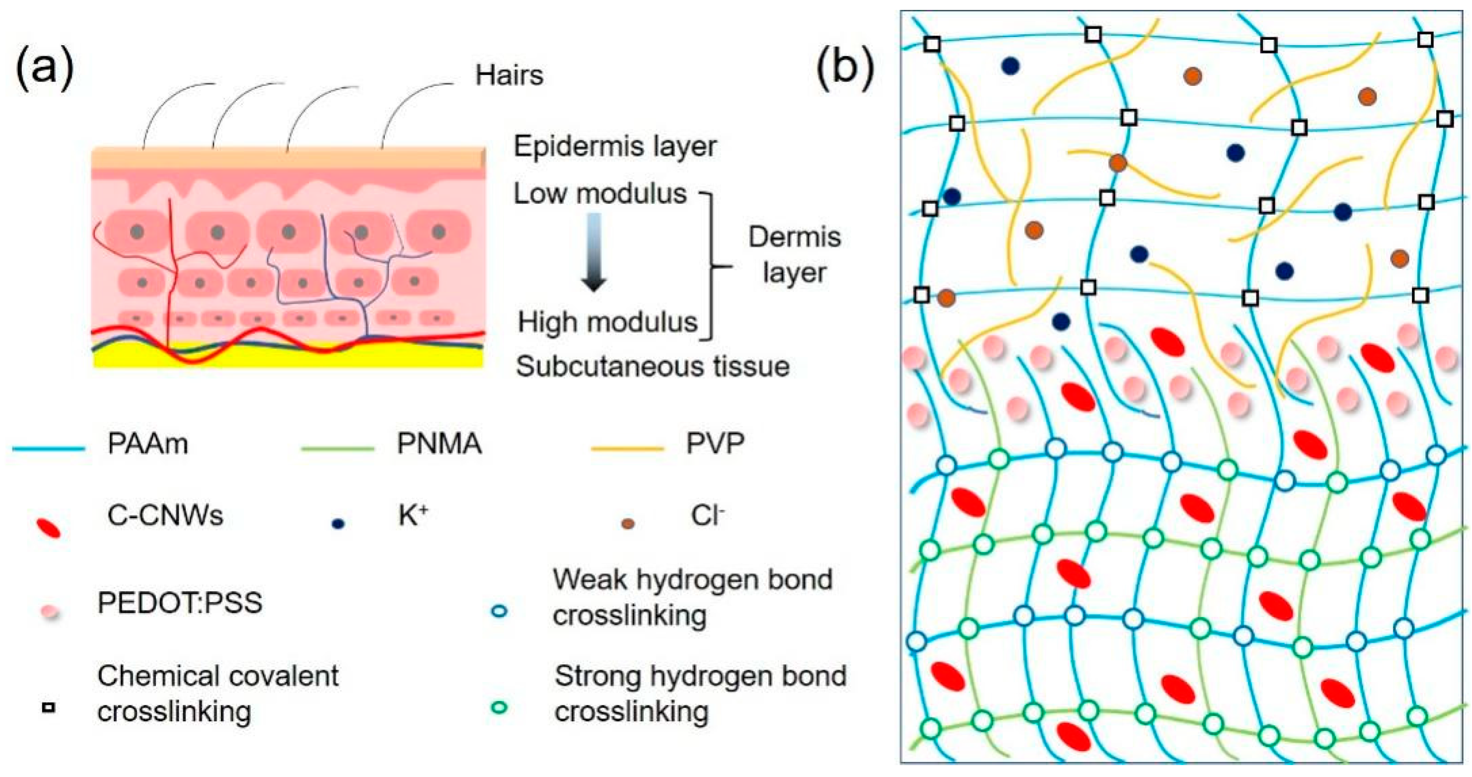 Nanomaterials 12 01137 g001