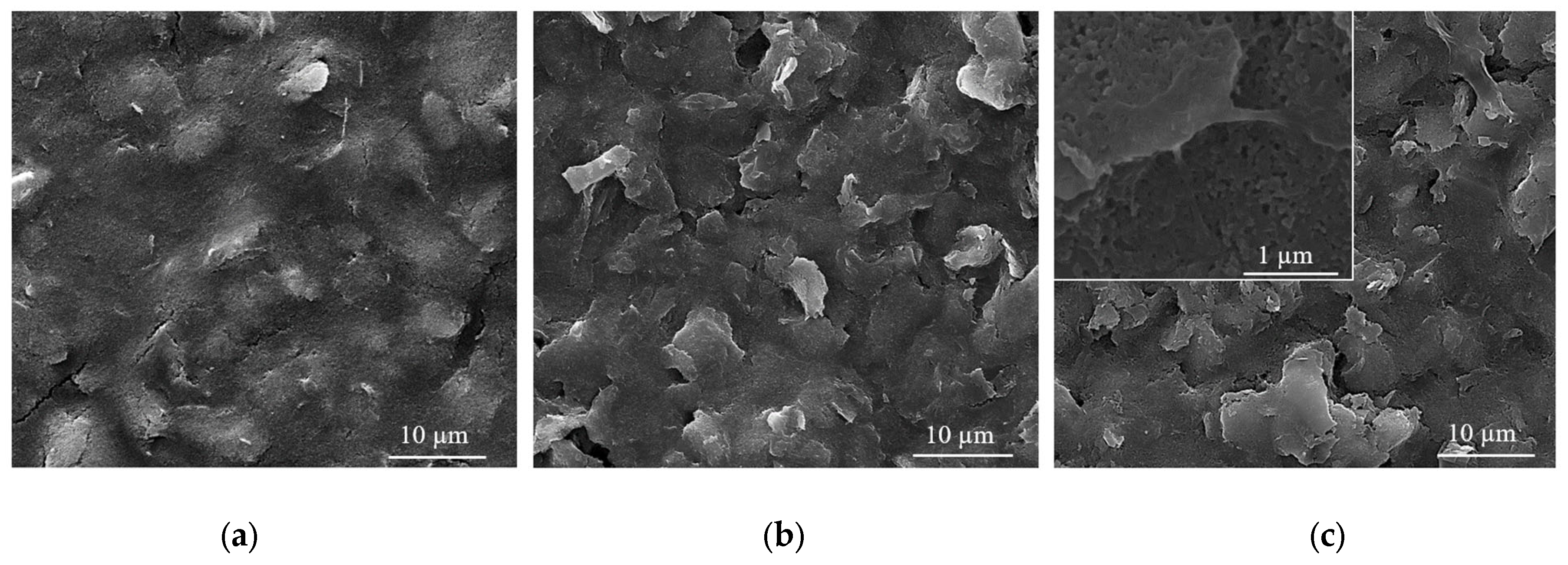 Nanomaterials 12 01138 g005