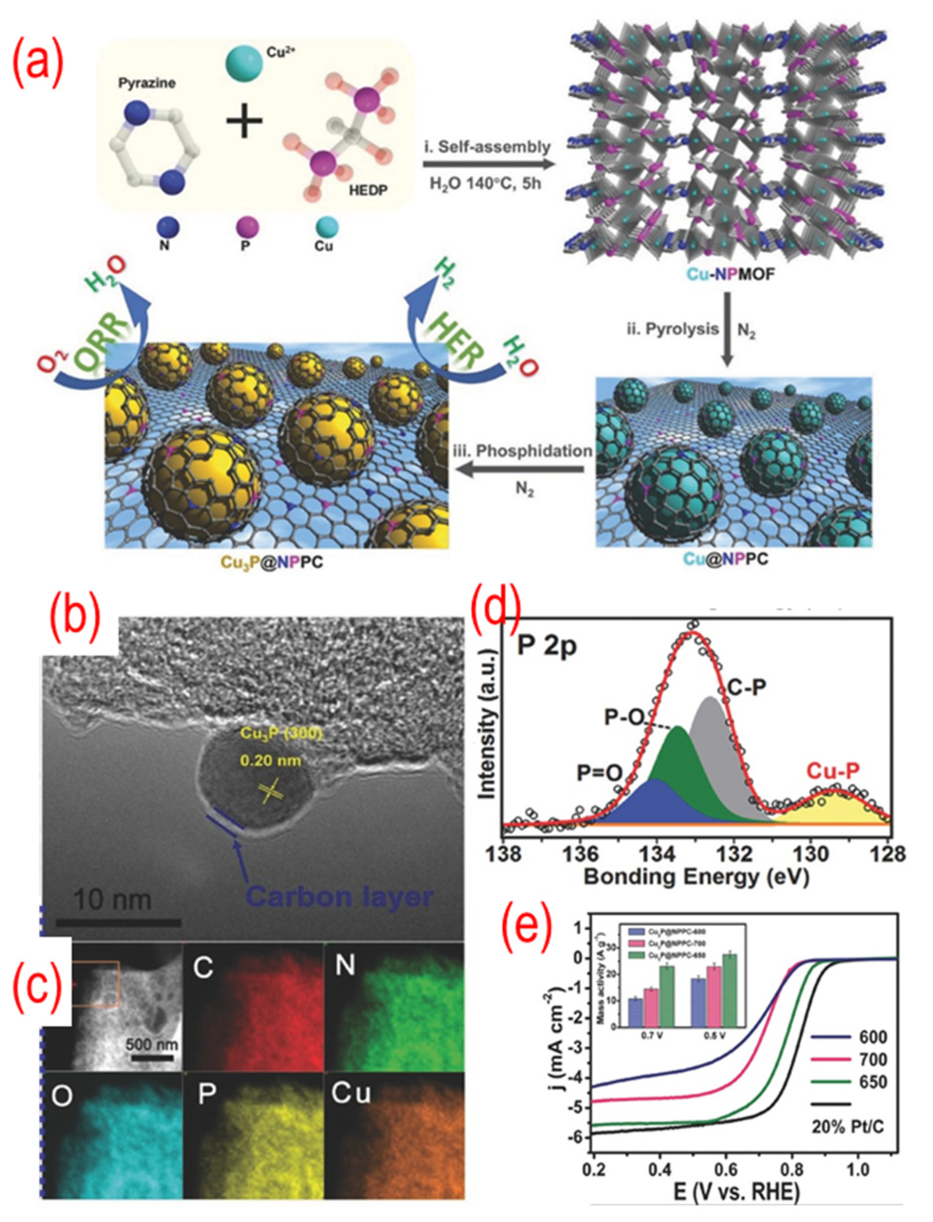 Nanomaterials 12 01141 g010