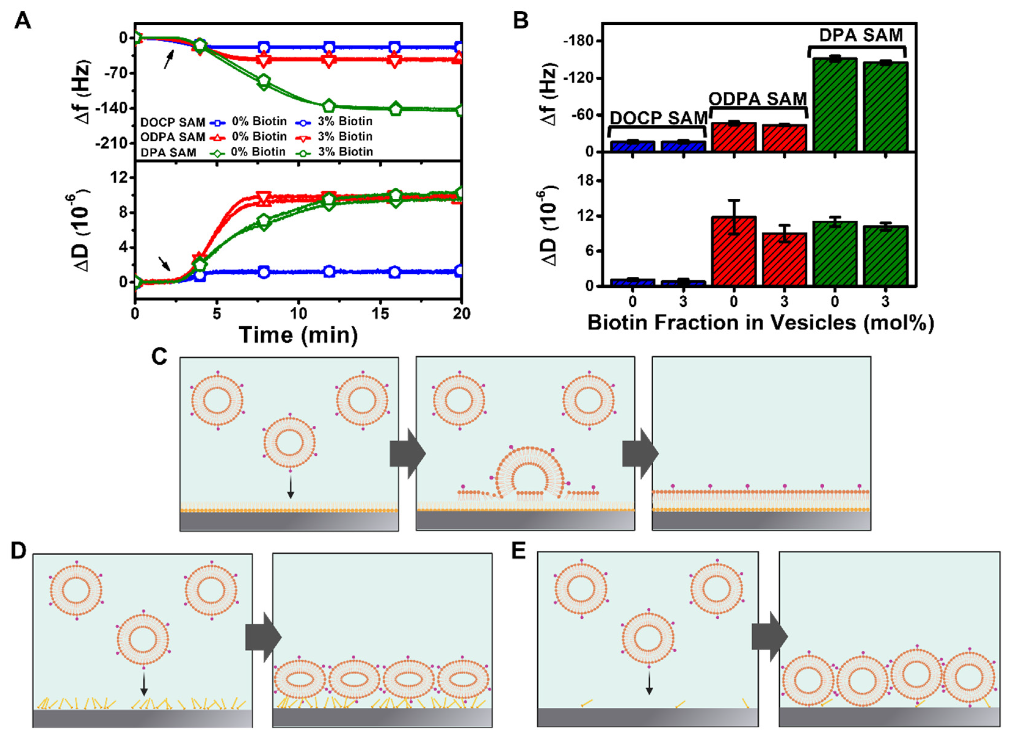 Nanomaterials 12 01153 g004 Nanomaterials 12 01153 g004