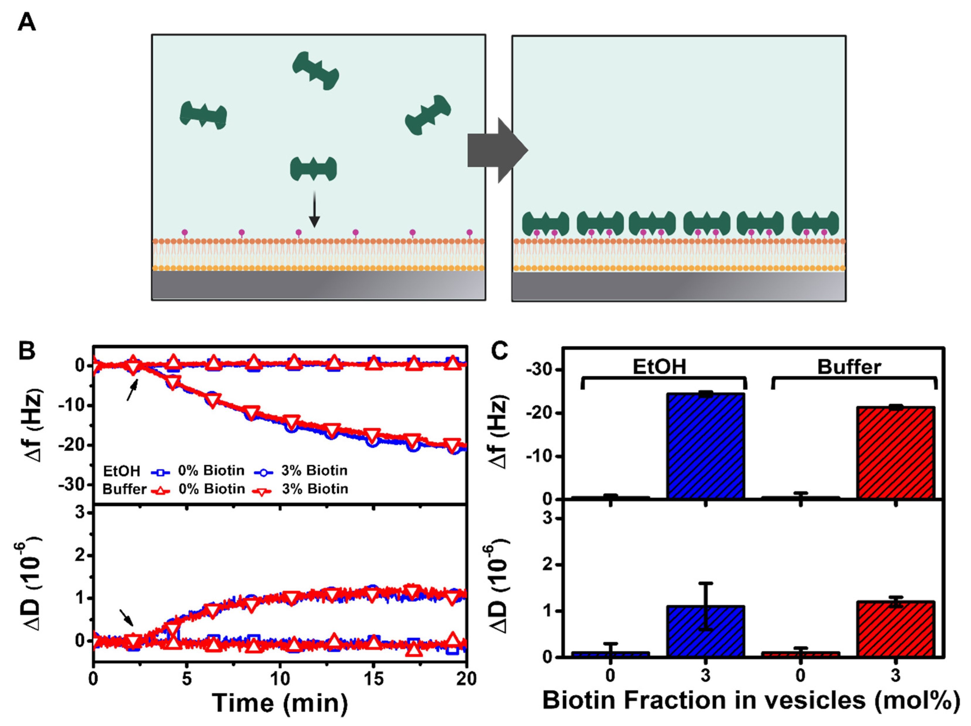 Nanomaterials 12 01153 g005 Nanomaterials 12 01153 g005