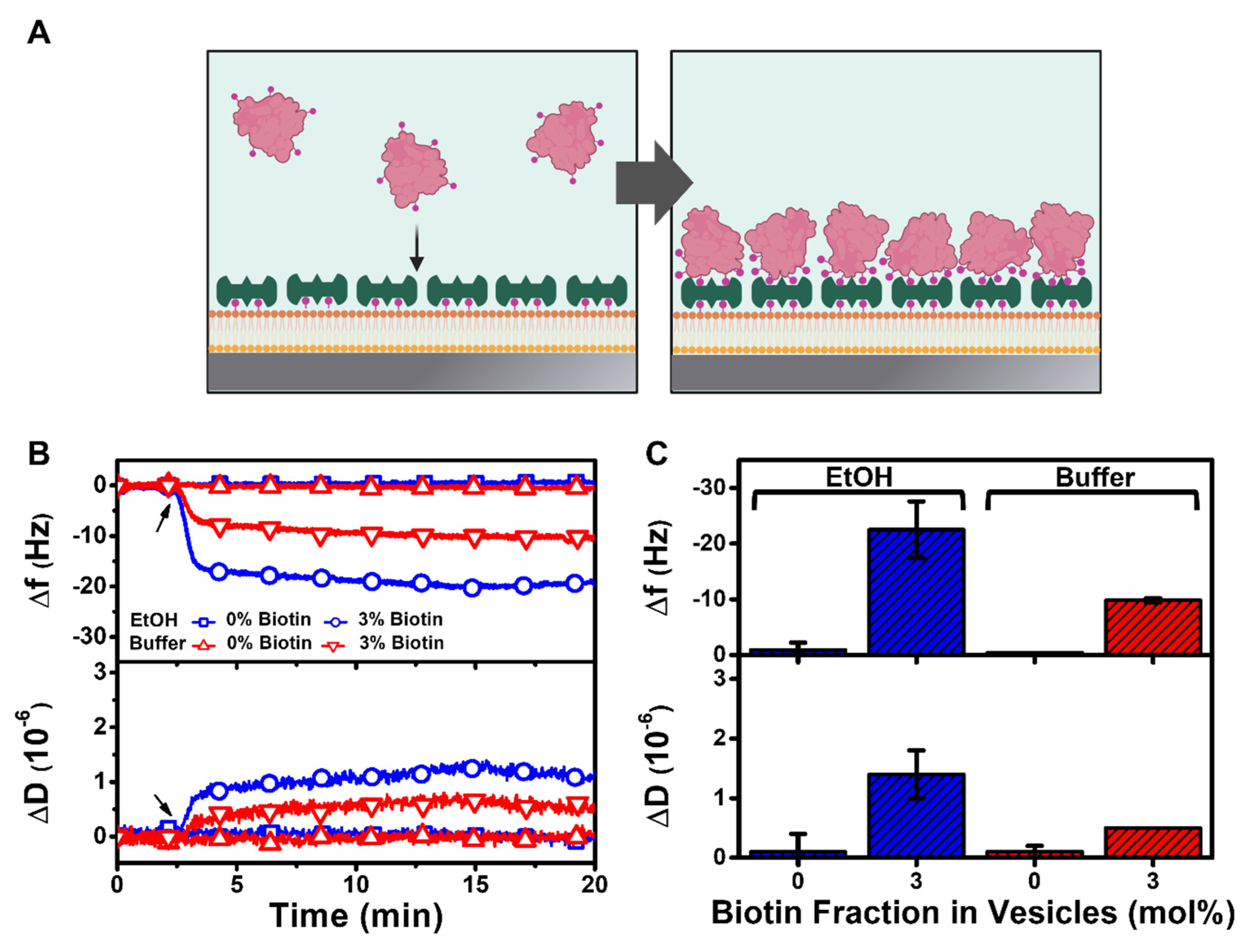 Nanomaterials 12 01153 g006 Nanomaterials 12 01153 g006