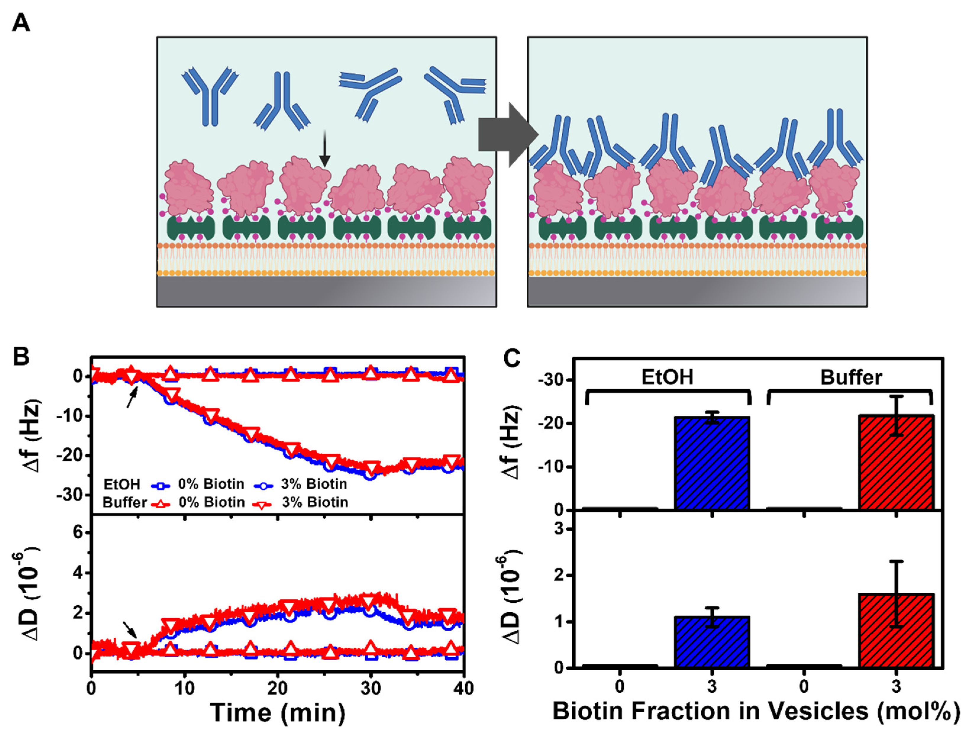 Nanomaterials 12 01153 g007 Nanomaterials 12 01153 g007