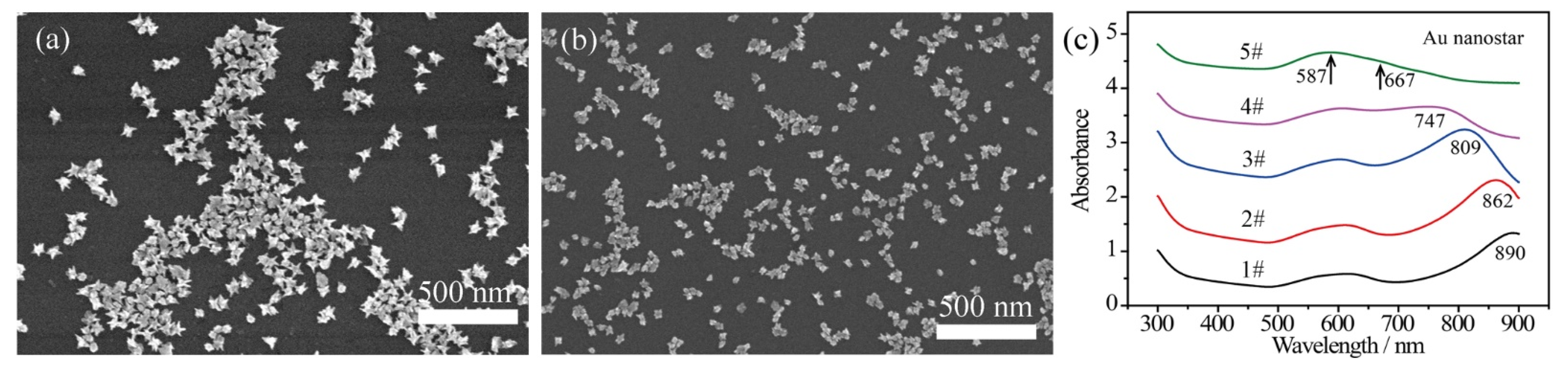 Nanomaterials 12 01156 g001