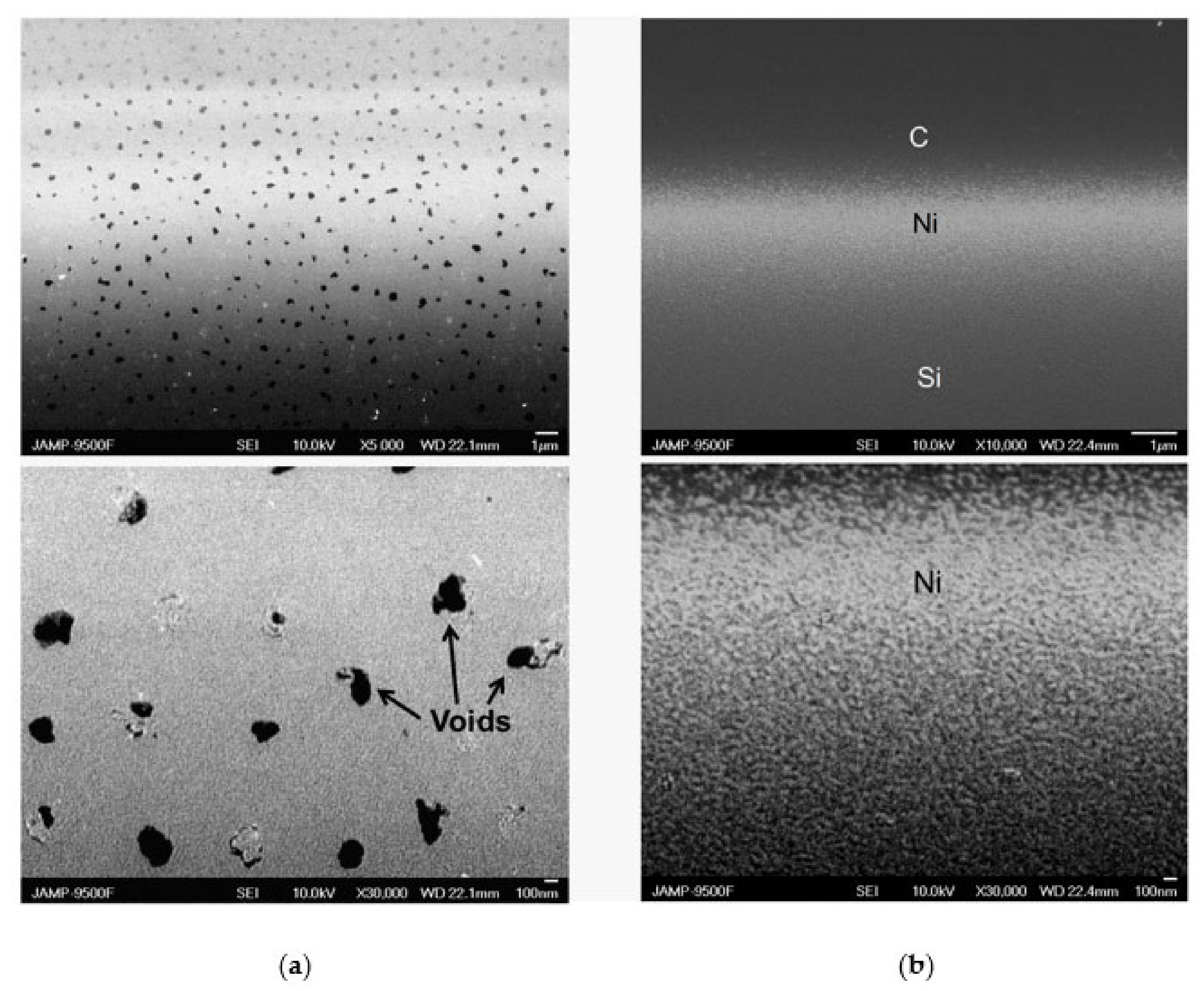Nanomaterials 12 01163 g006