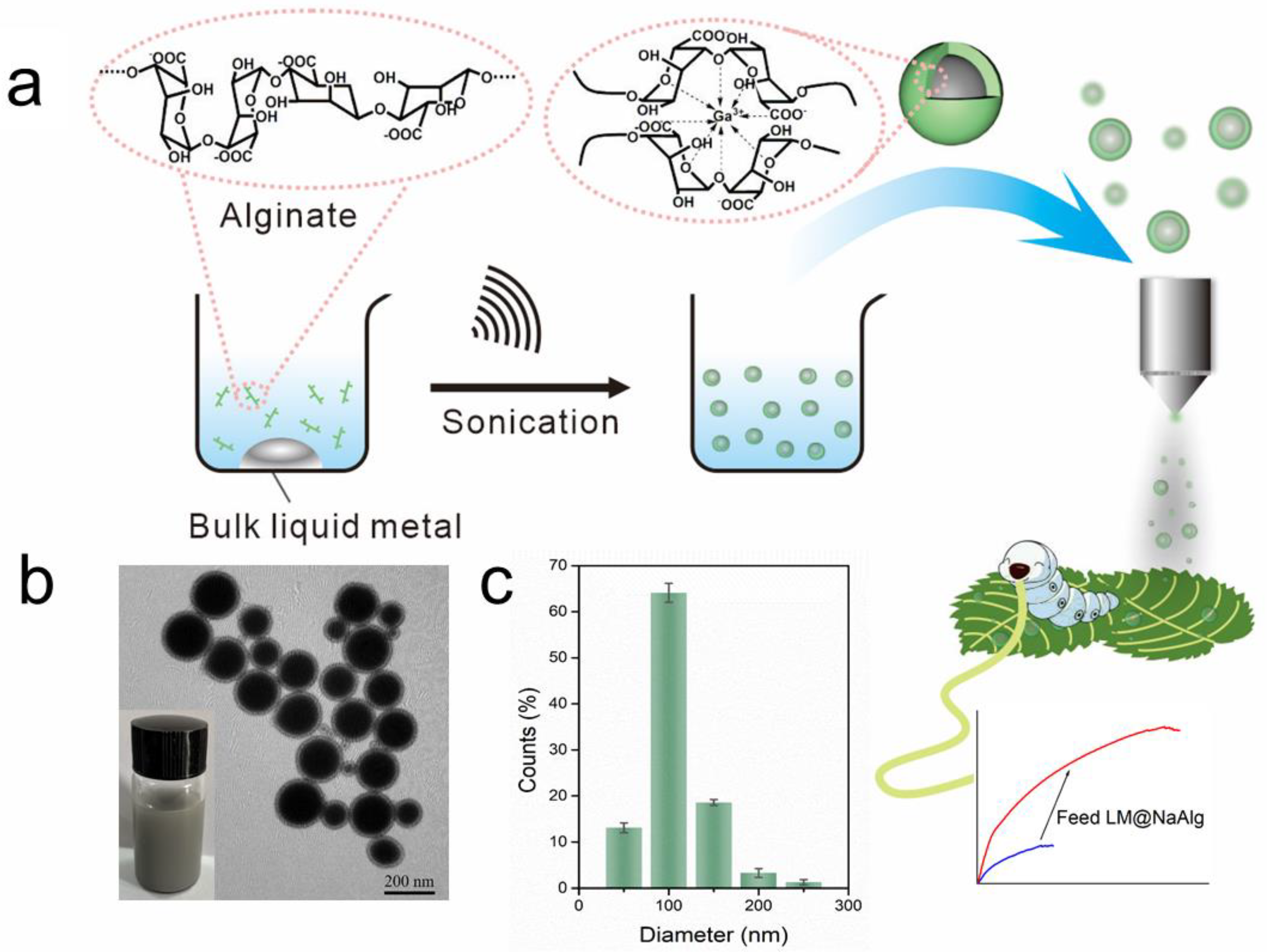Nanomaterials 12 01177 g001