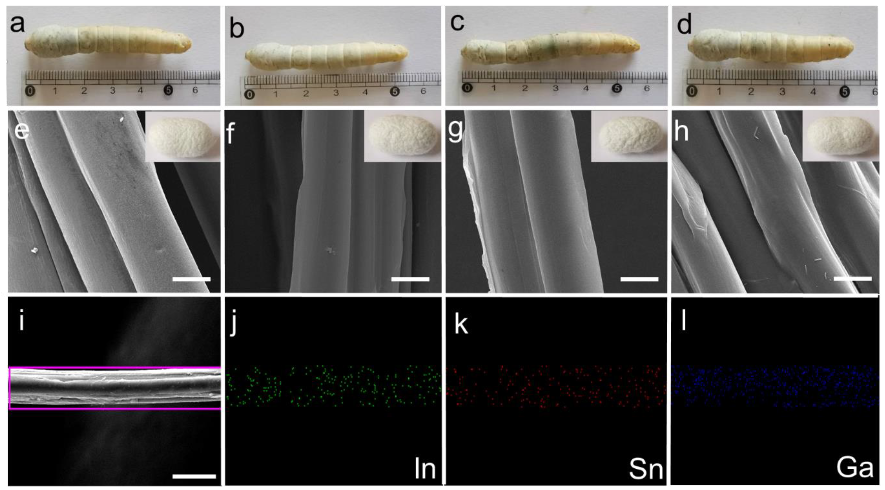 Nanomaterials 12 01177 g003