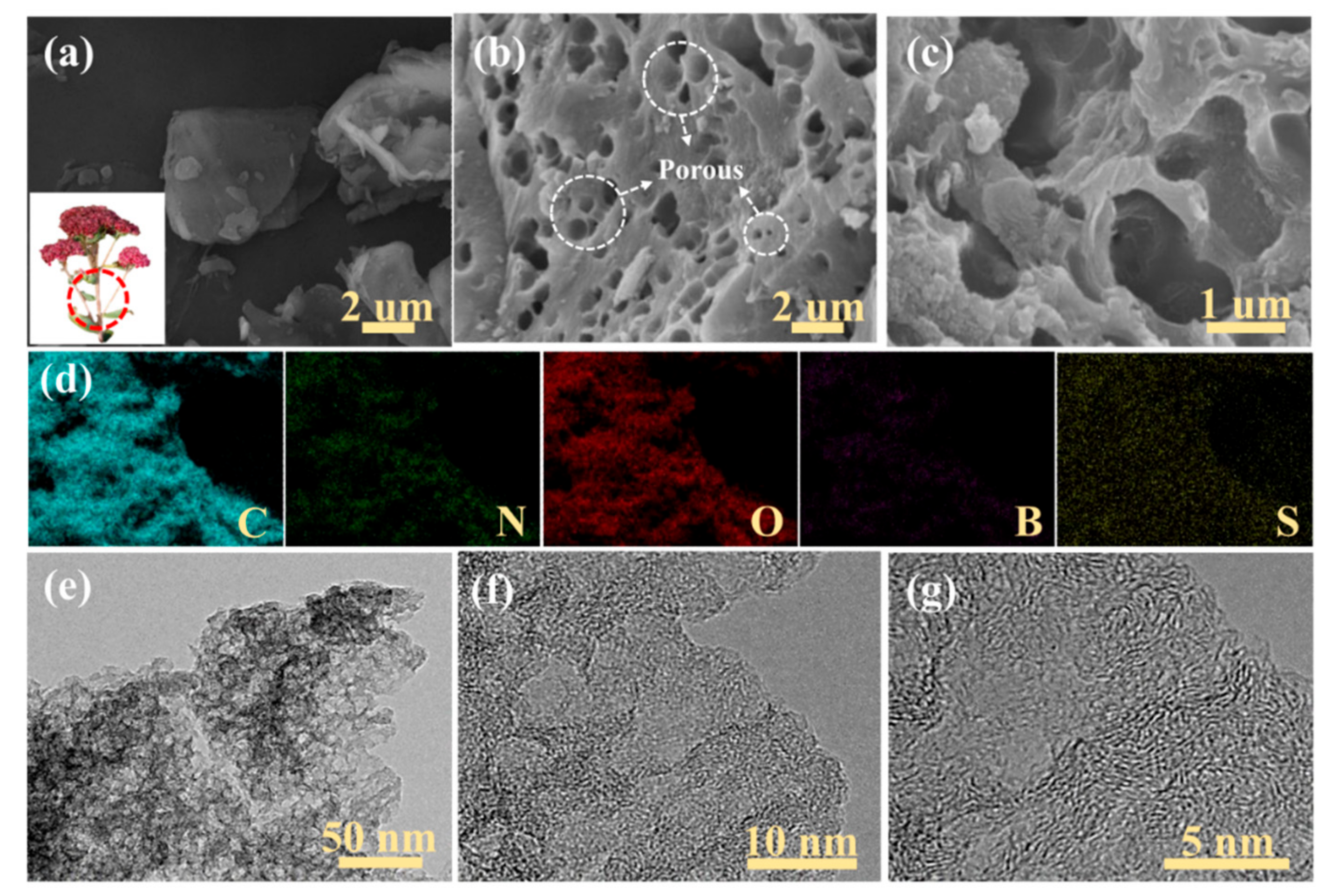 Nanomaterials 12 01182 g002