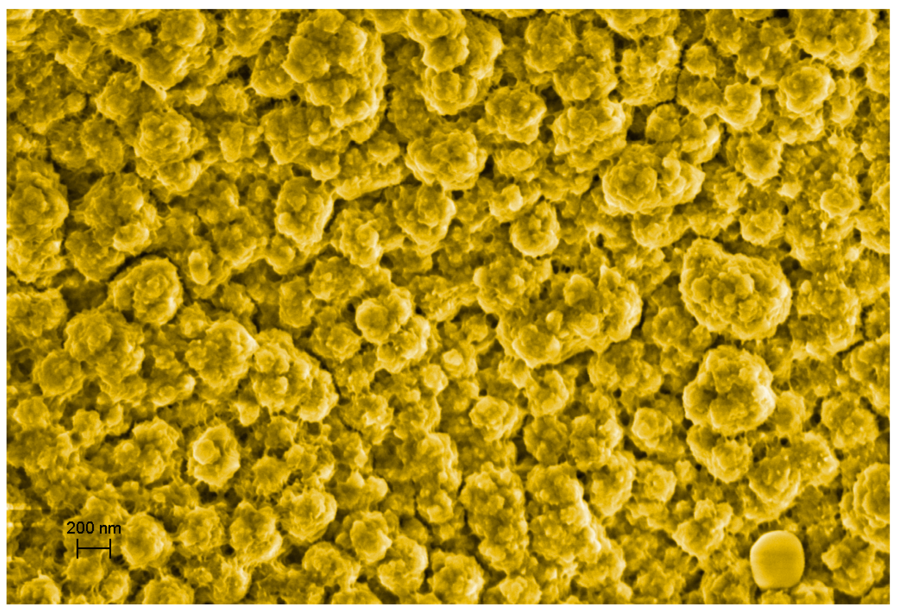 Nanomaterials 12 01193 g003