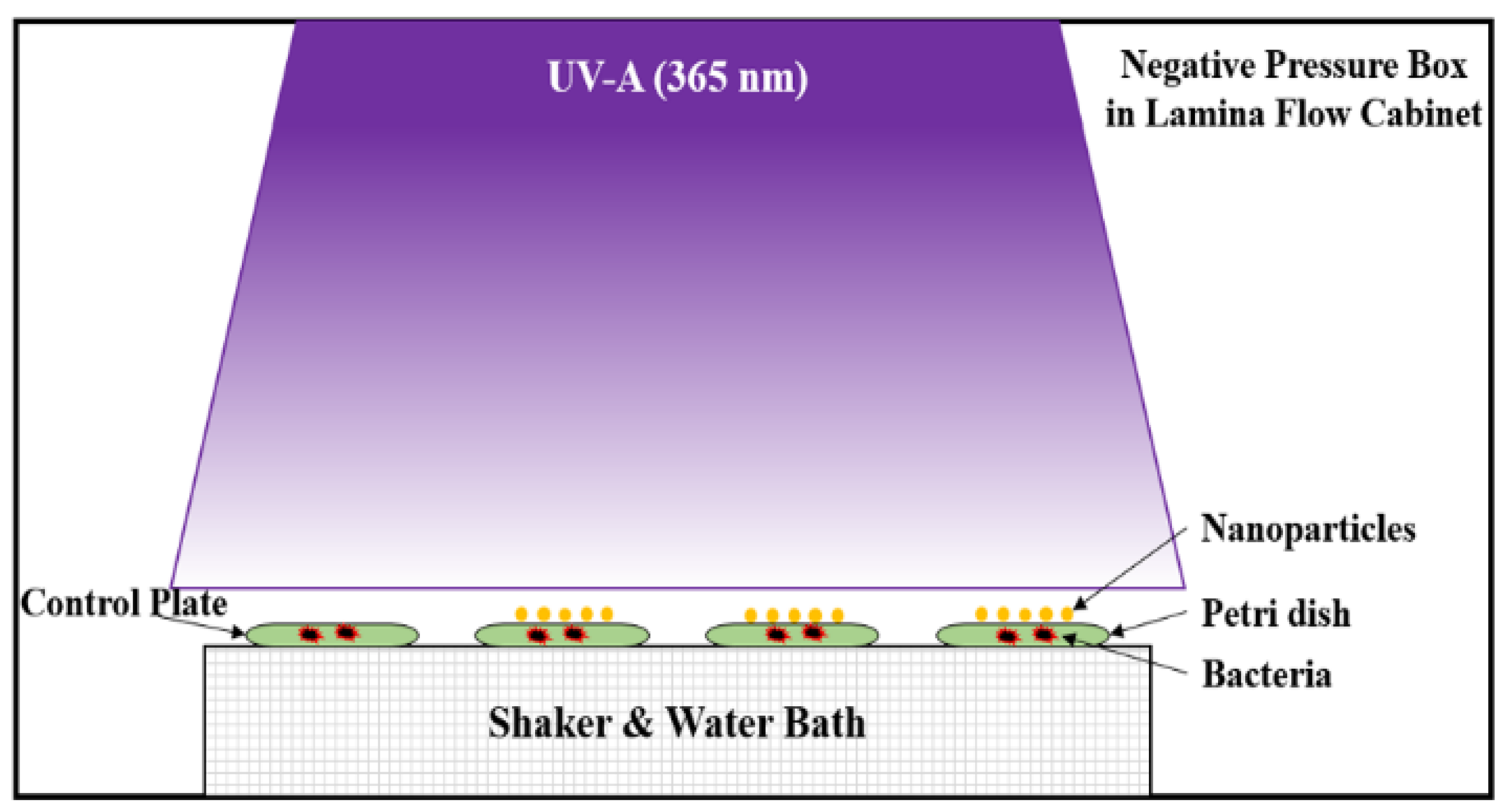 Nanomaterials 12 01198 g001