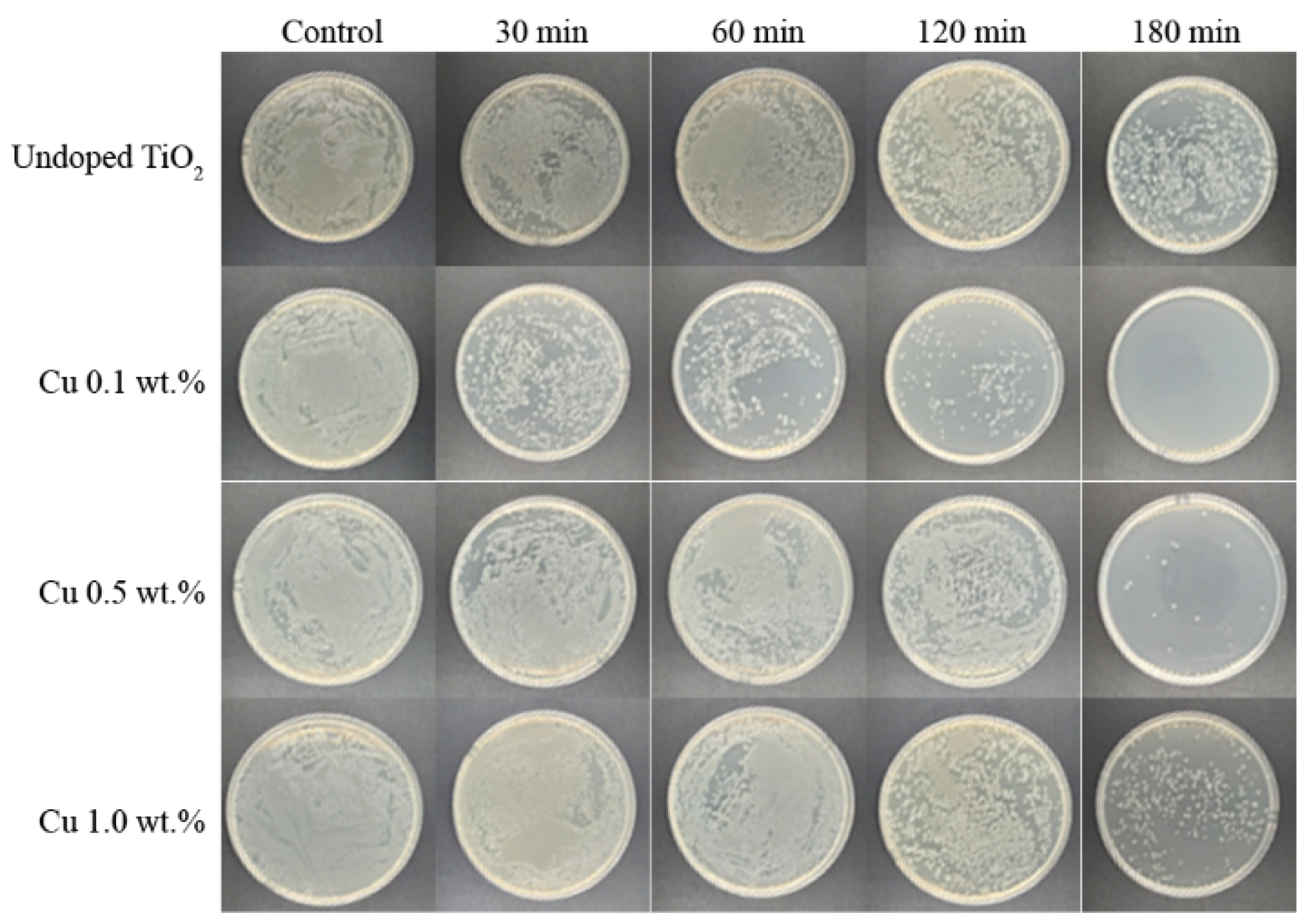 Nanomaterials 12 01198 g007