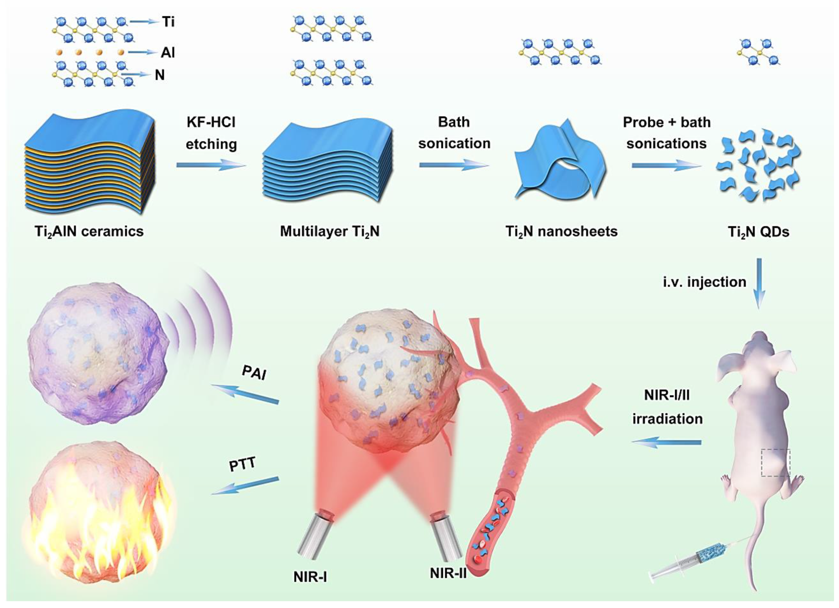 Nanomaterials 12 01200 g002