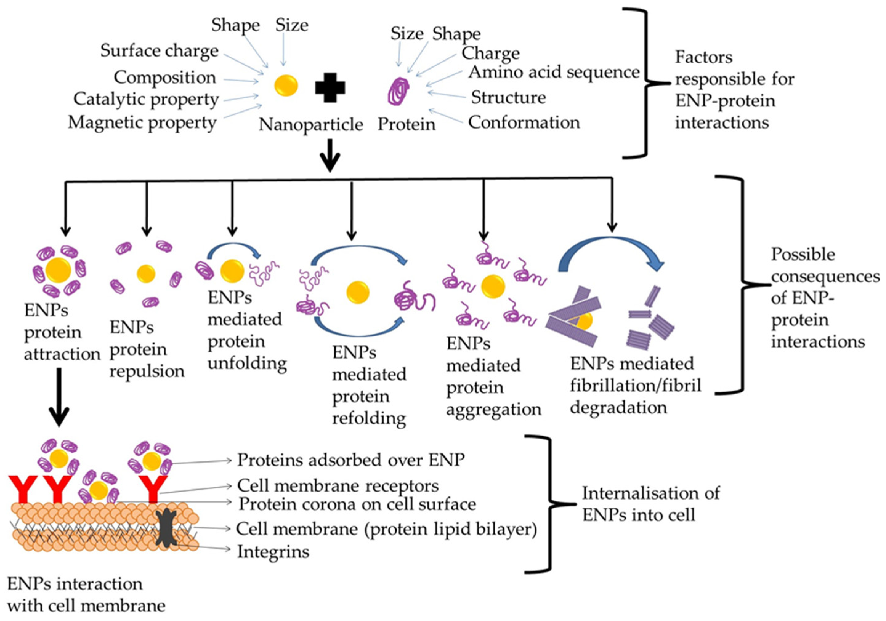 Nanomaterials 12 01214 g002