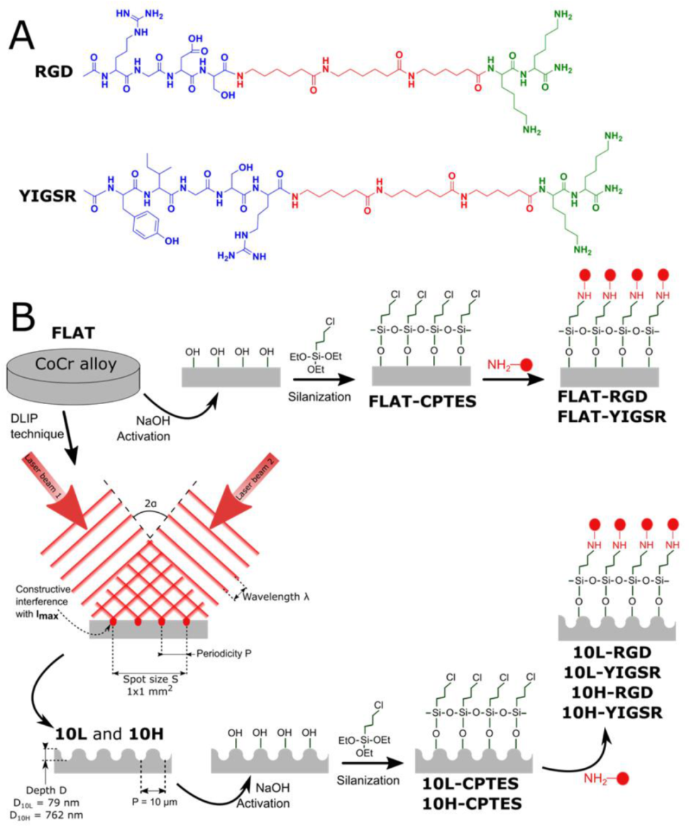 Nanomaterials 12 01217 g001