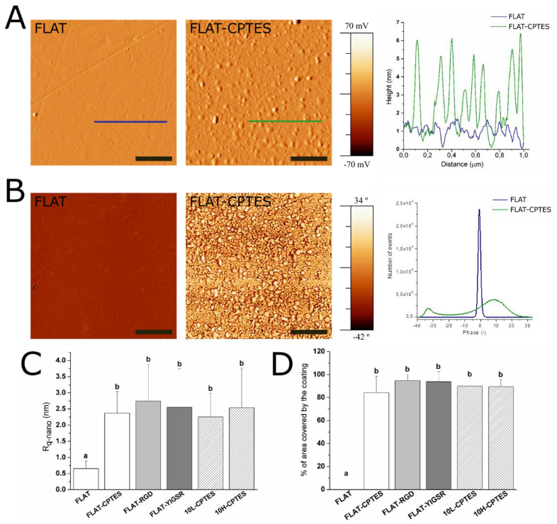 Nanomaterials 12 01217 g003