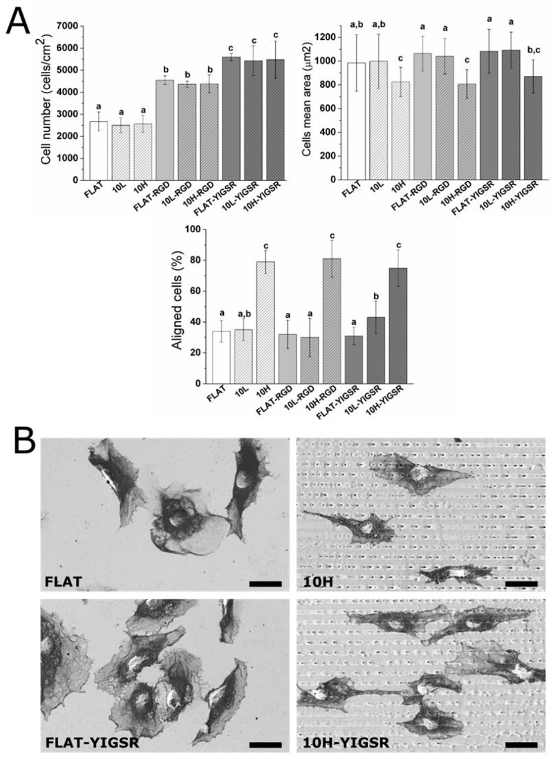 Nanomaterials 12 01217 g006