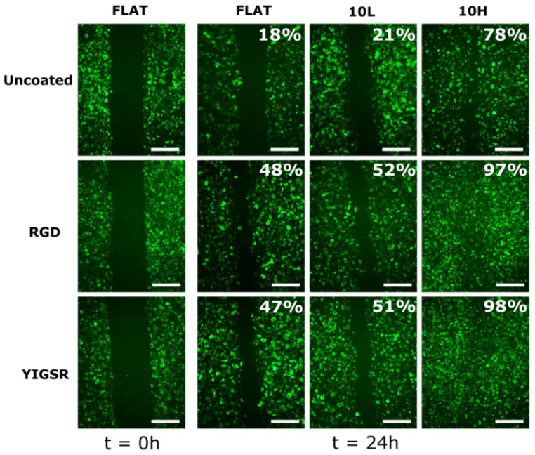 Nanomaterials 12 01217 g007