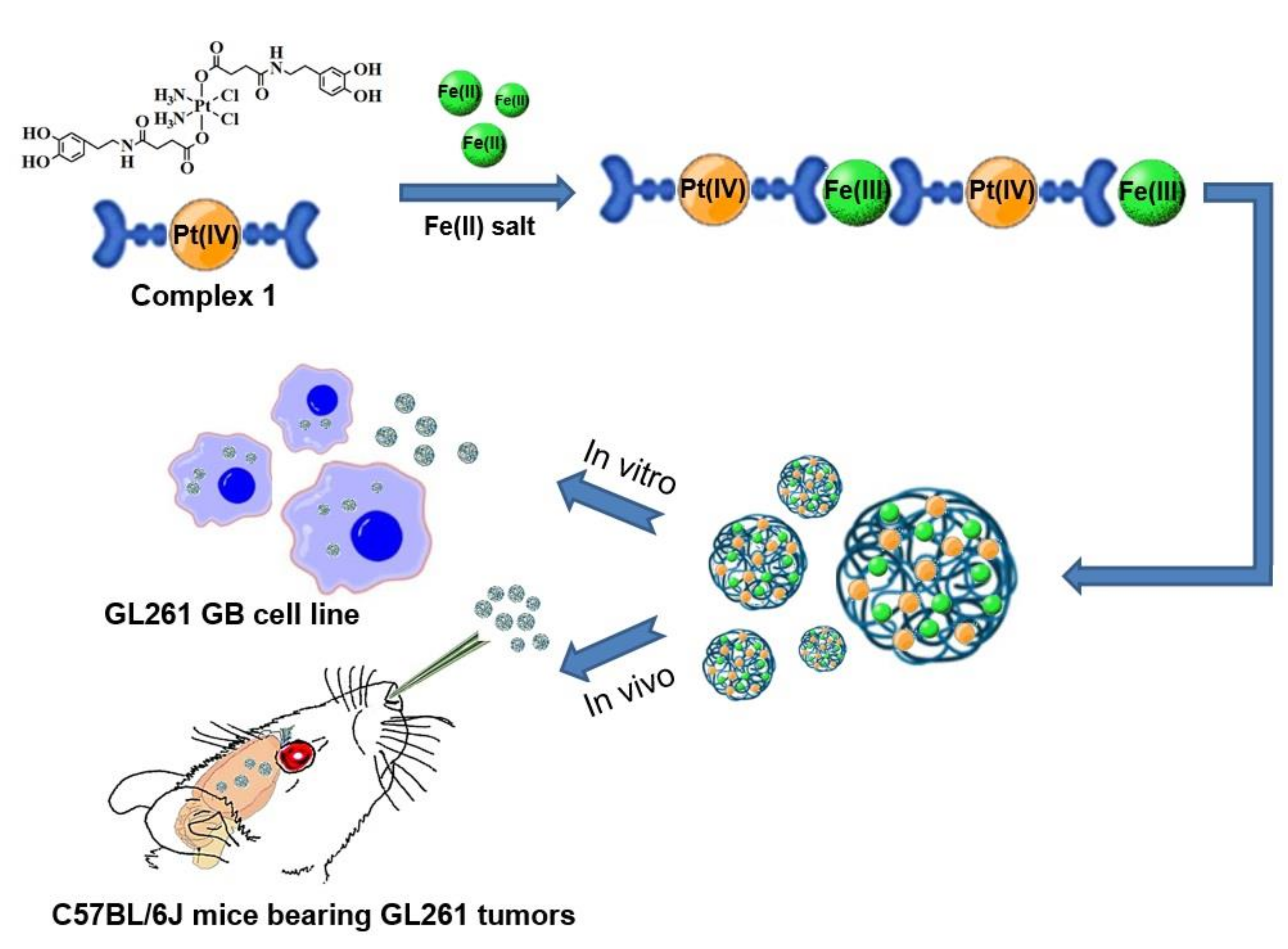 Nanomaterials 12 01221 g001