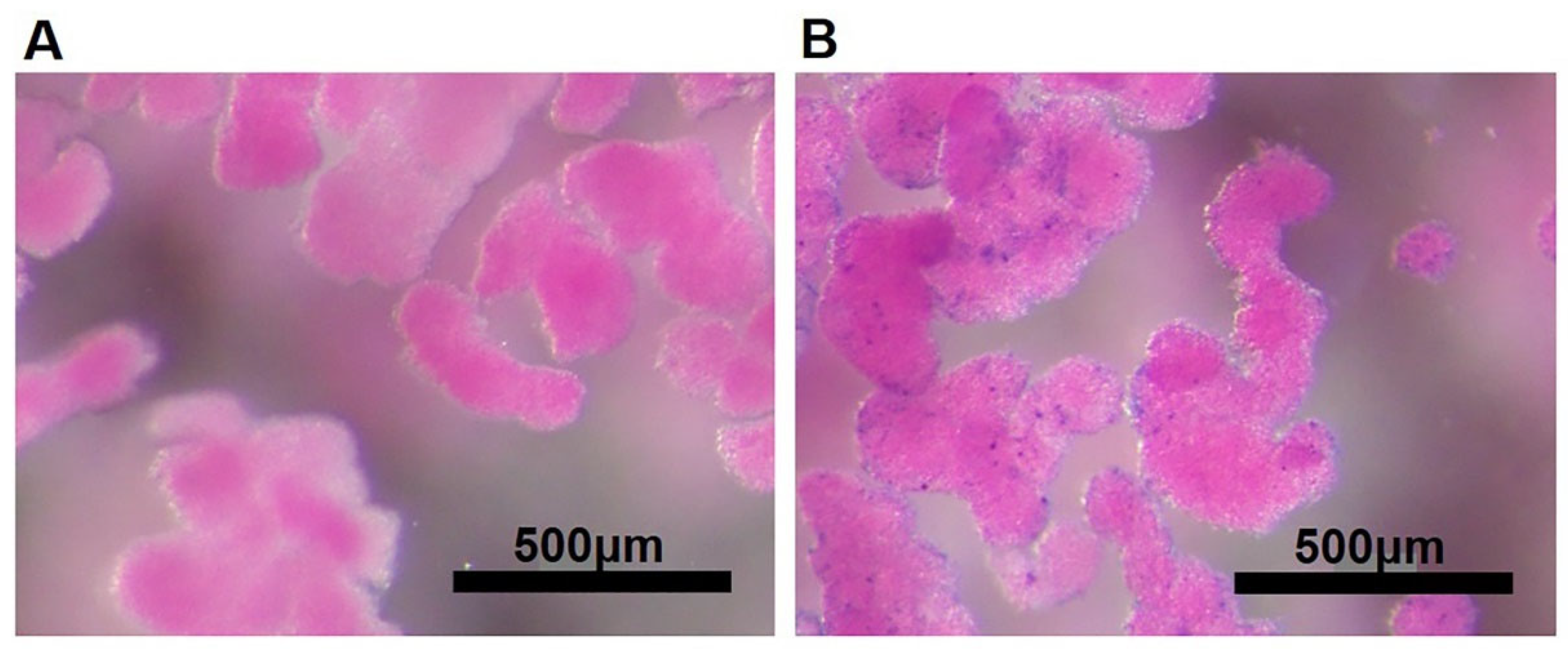 Nanomaterials 12 01222 g002