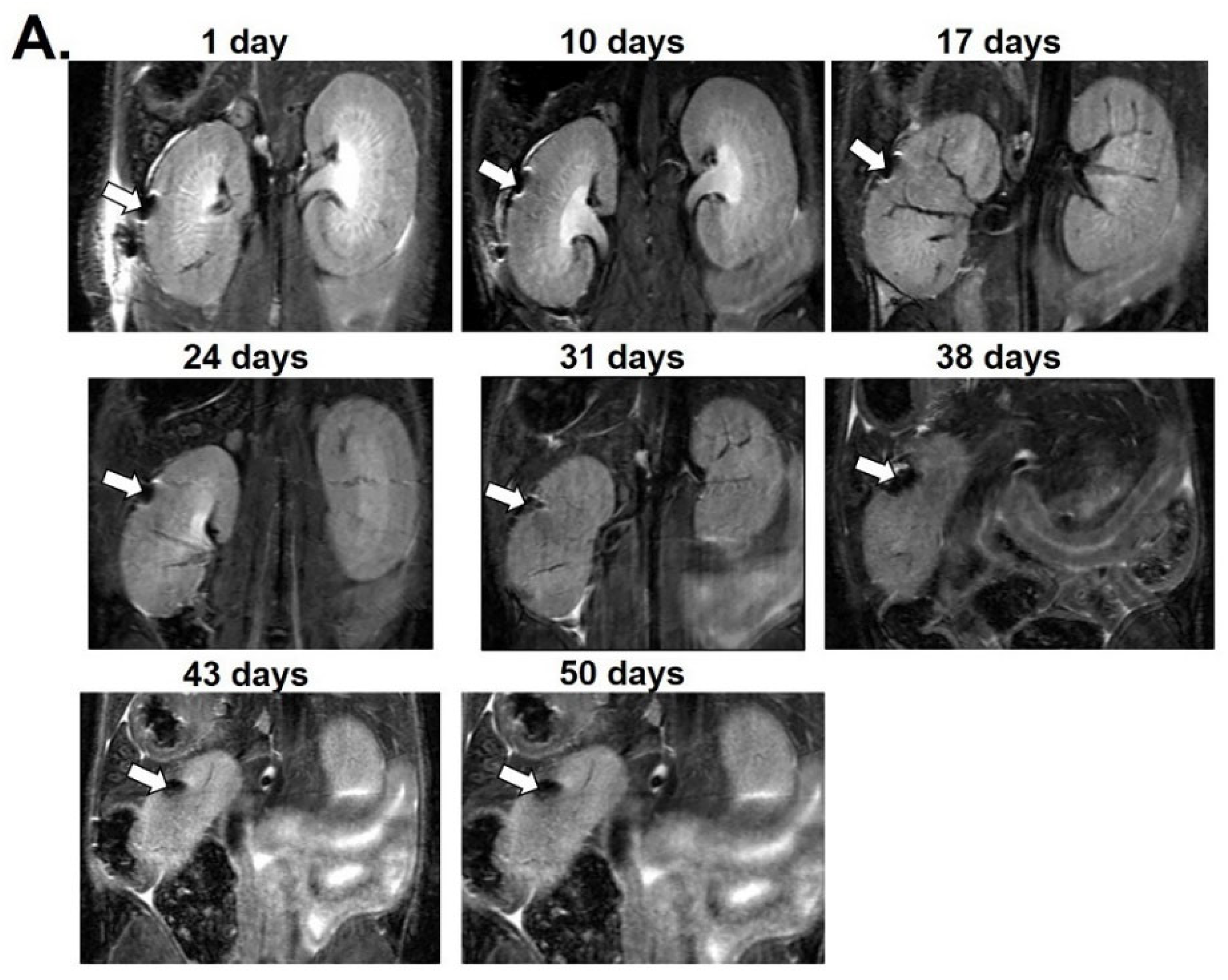 Nanomaterials 12 01222 g003a