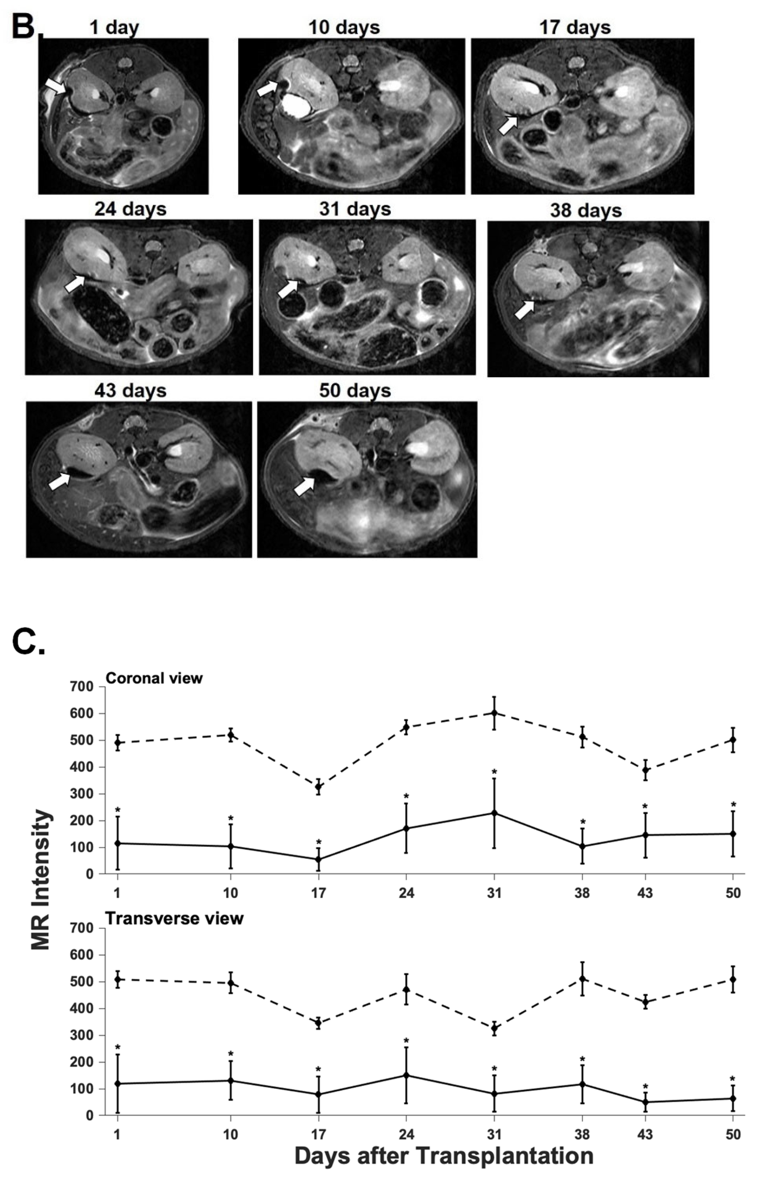 Nanomaterials 12 01222 g003b