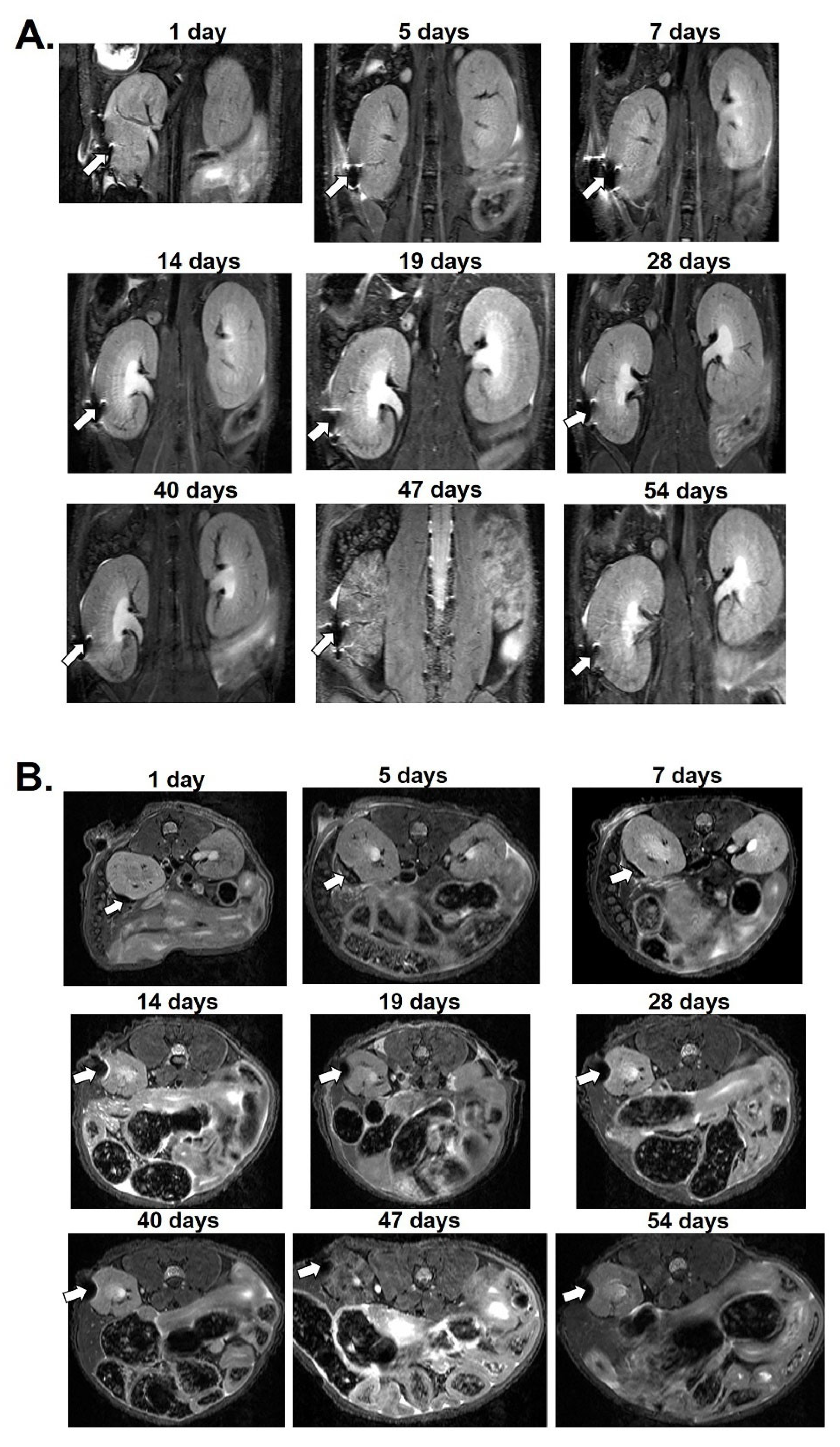 Nanomaterials 12 01222 g004a