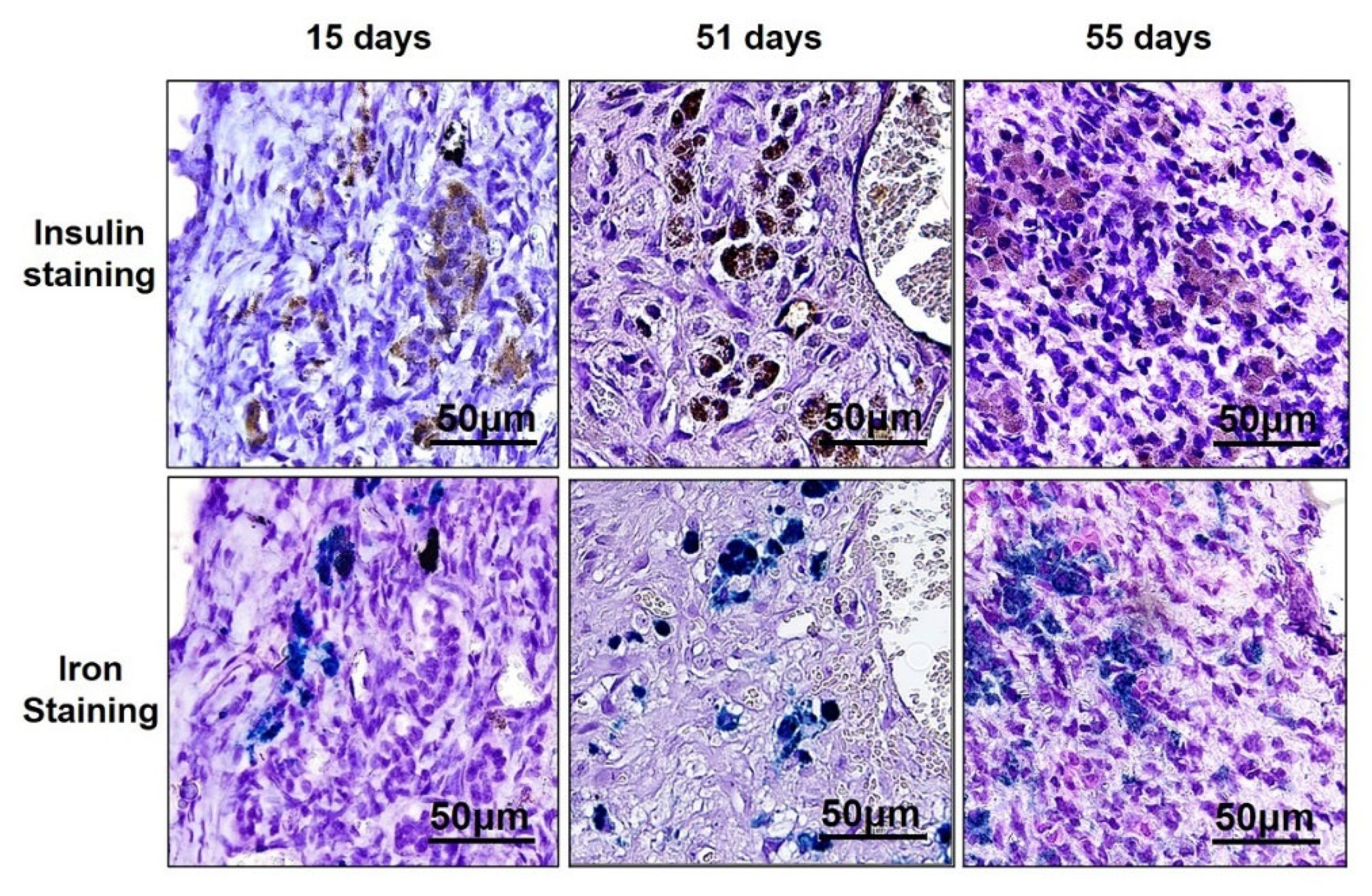 Nanomaterials 12 01222 g005
