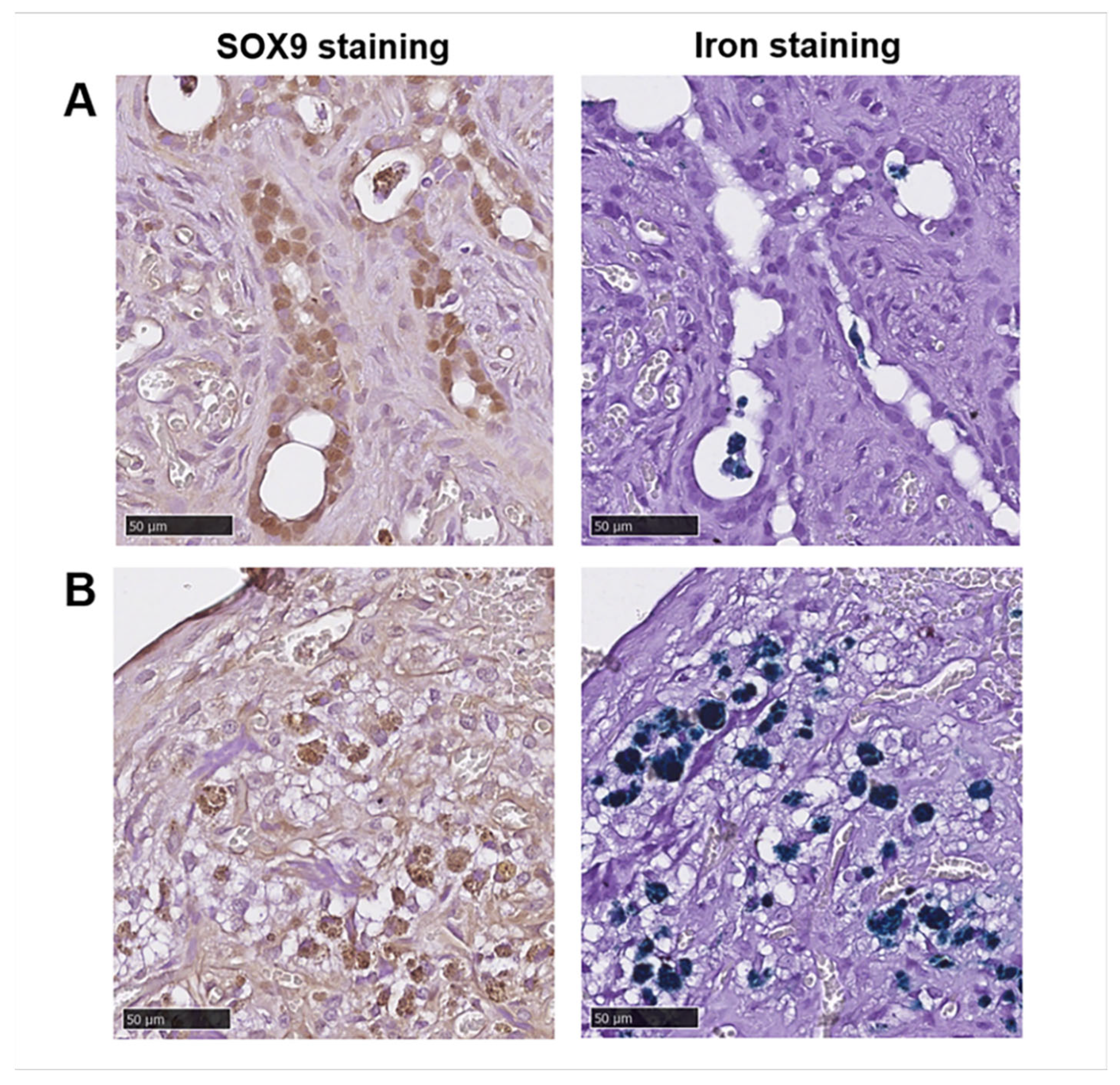 Nanomaterials 12 01222 g006
