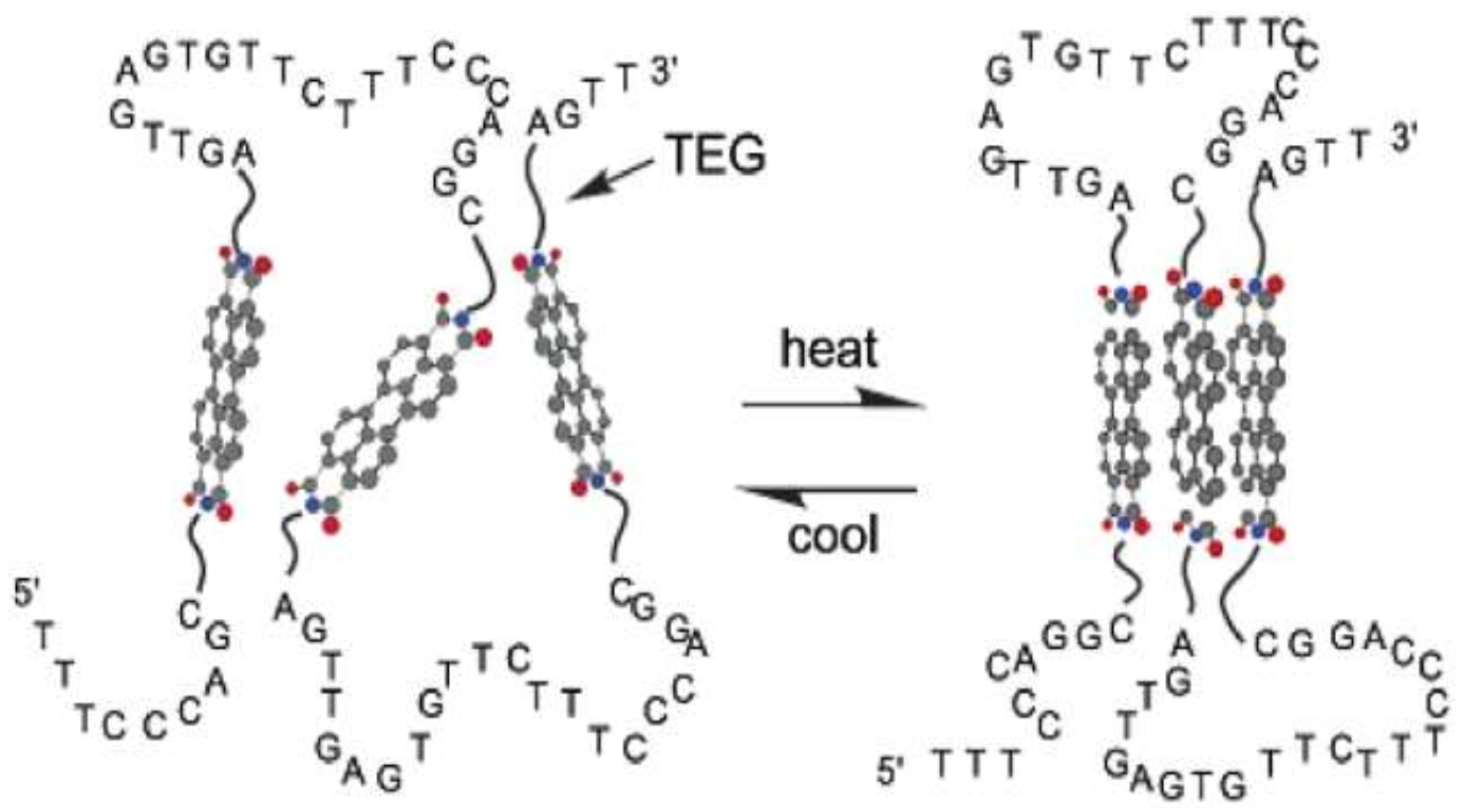 Nanomaterials 12 01223 g006 Nanomaterials 12 01223 g006