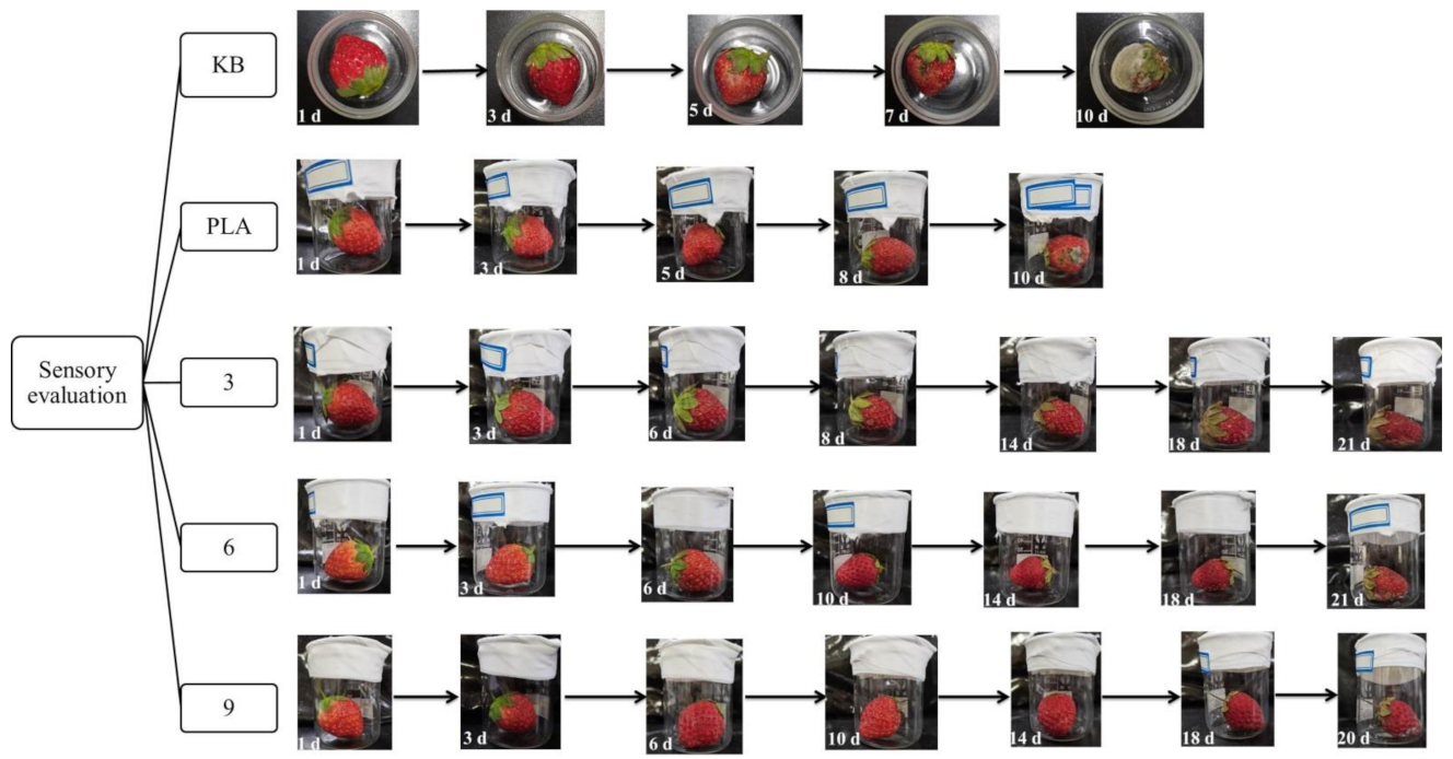 Nanomaterials 12 01229 g009