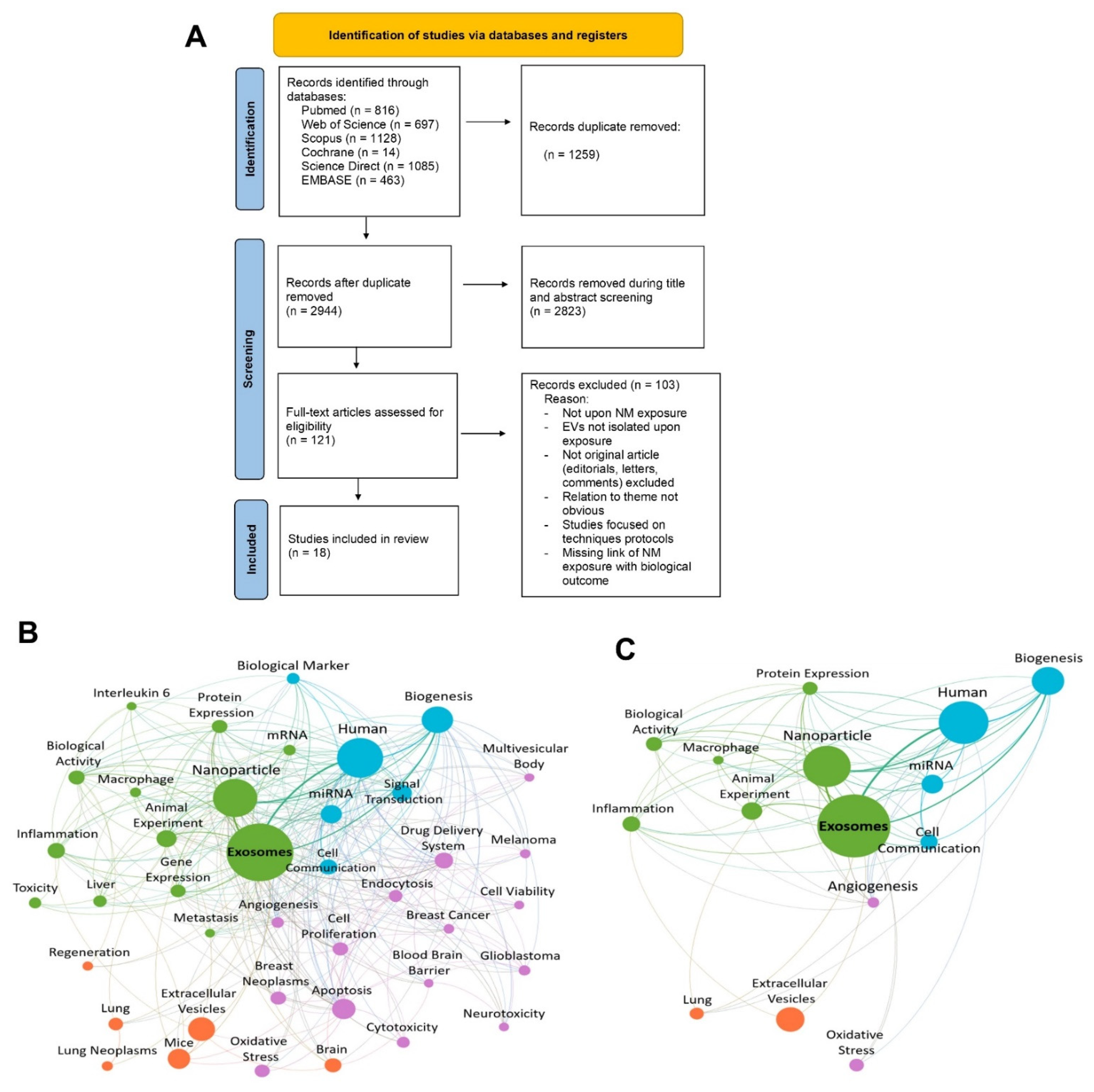 Nanomaterials 12 01231 g001