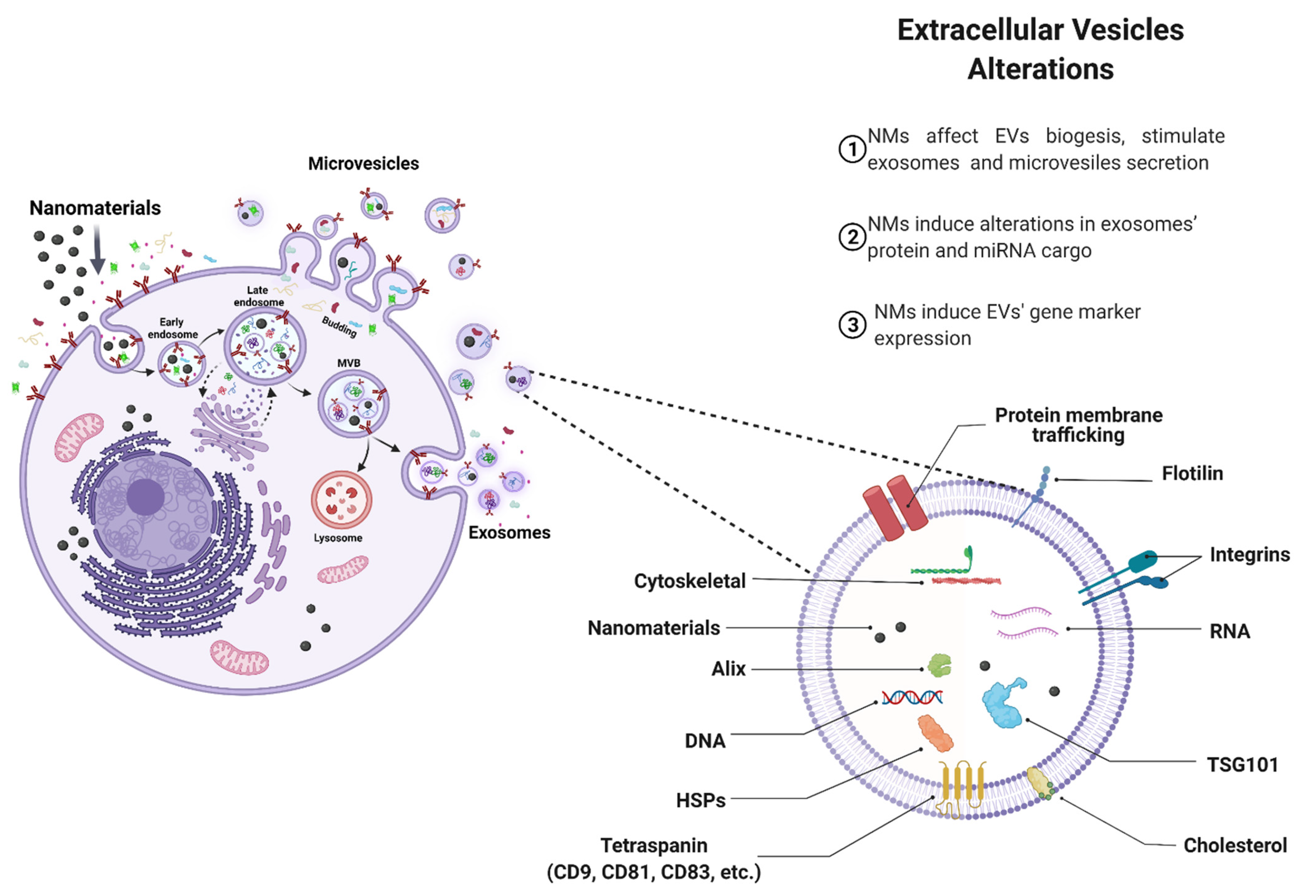 Nanomaterials 12 01231 g002