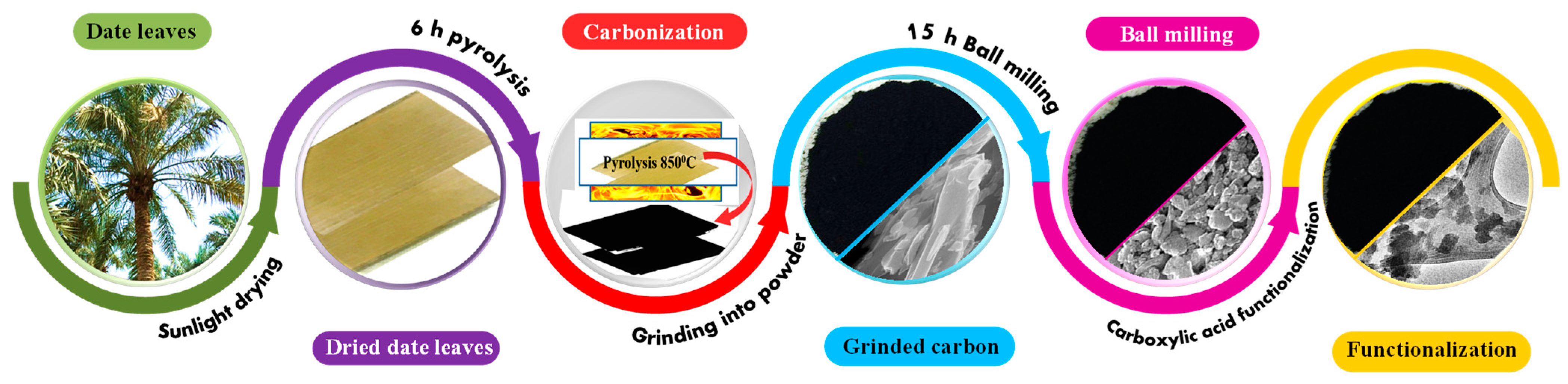 Nanomaterials 12 01245 g001