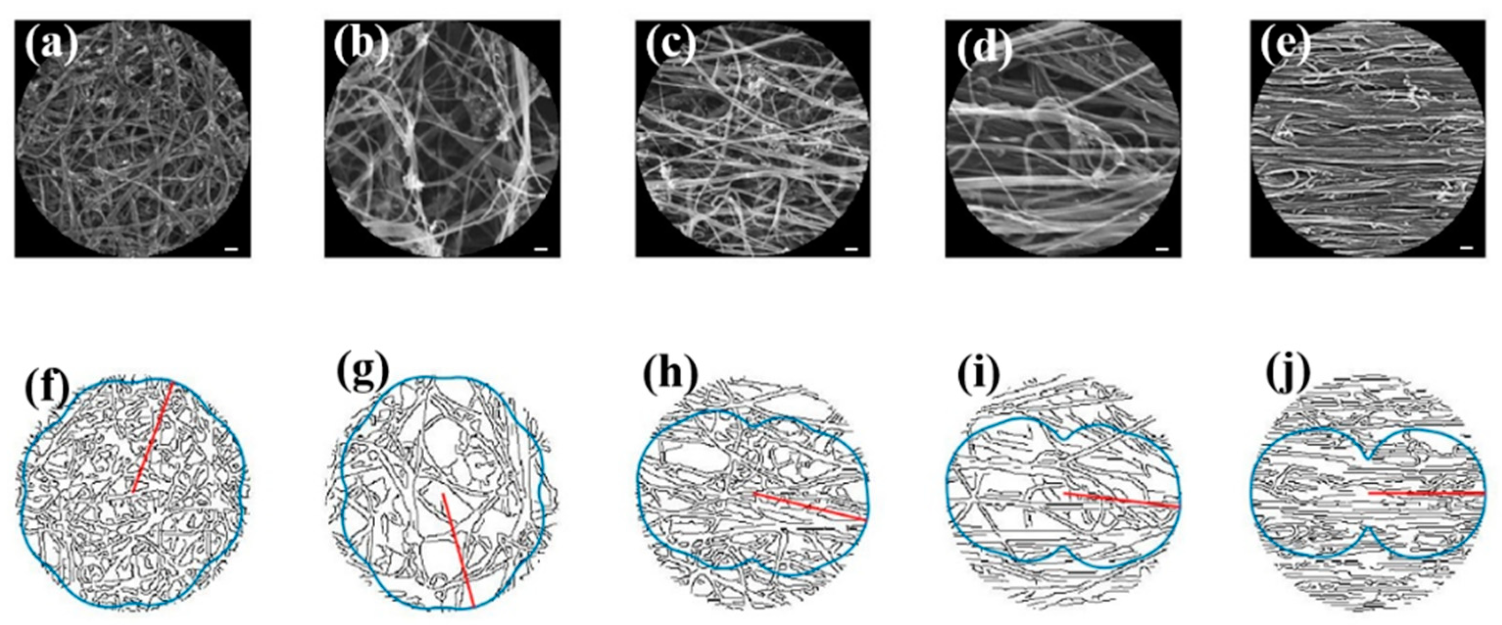 Nanomaterials 12 01251 g005 Nanomaterials 12 01251 g005