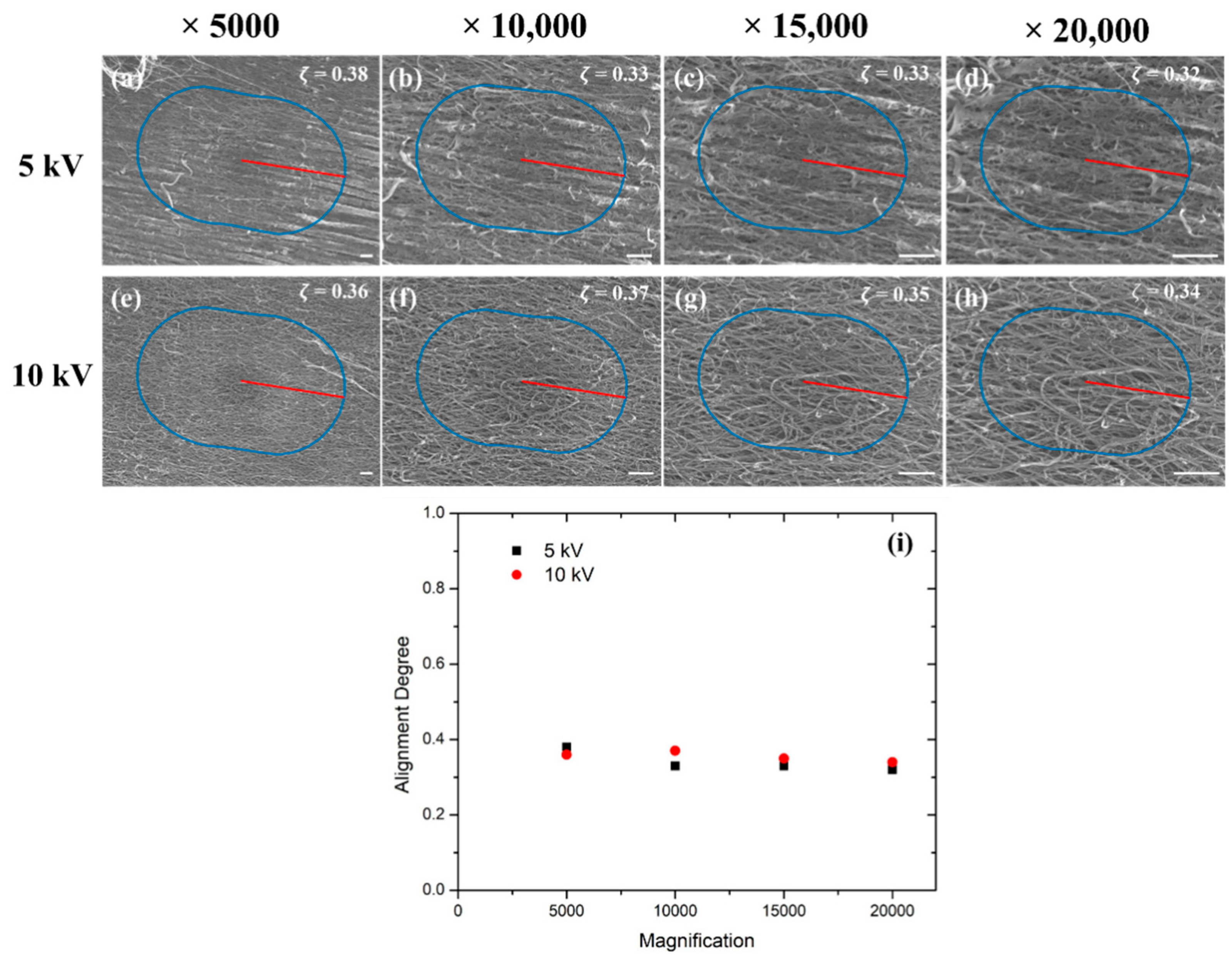 Nanomaterials 12 01251 g007 Nanomaterials 12 01251 g007