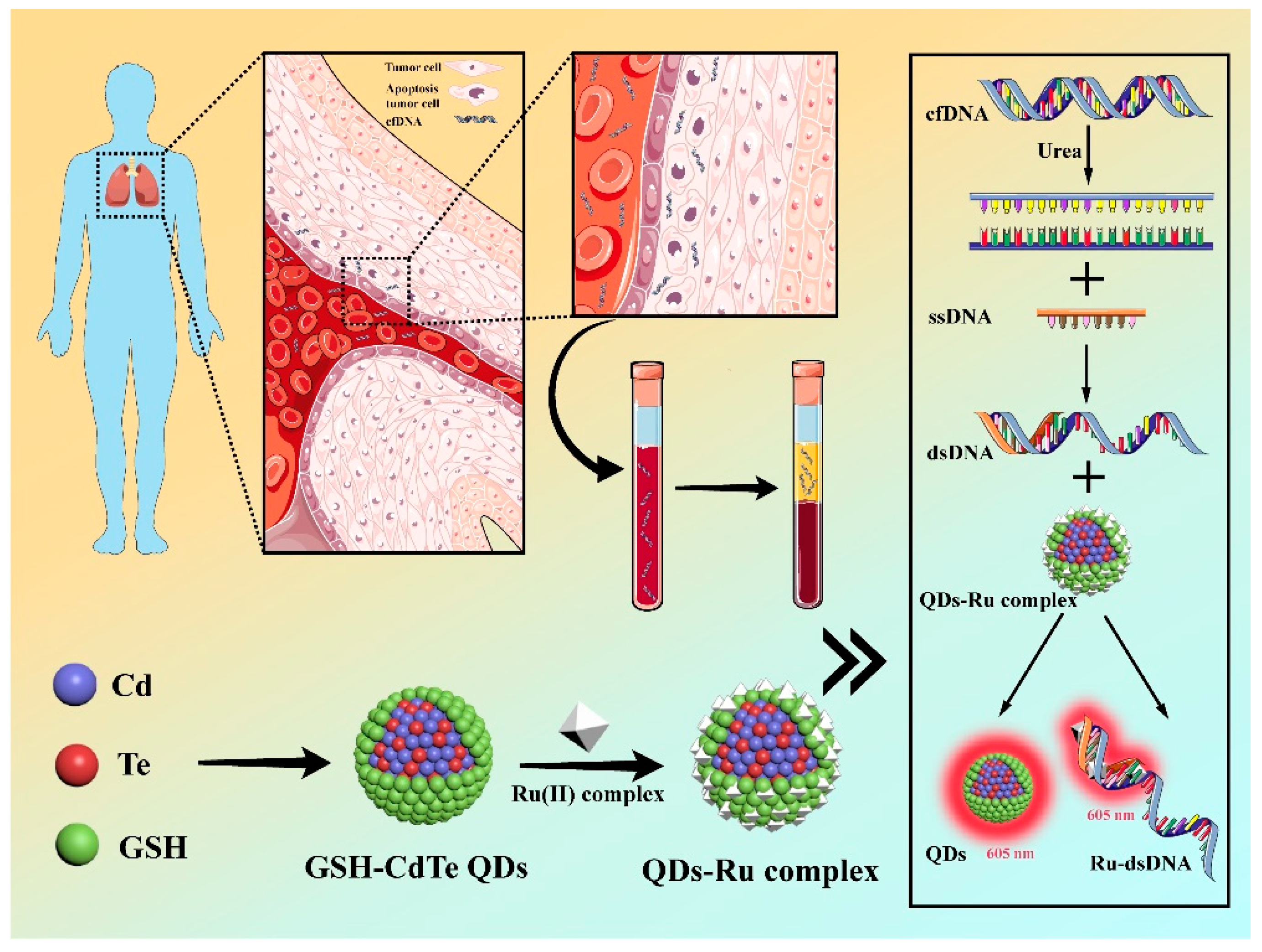 Nanomaterials 12 01262 g001